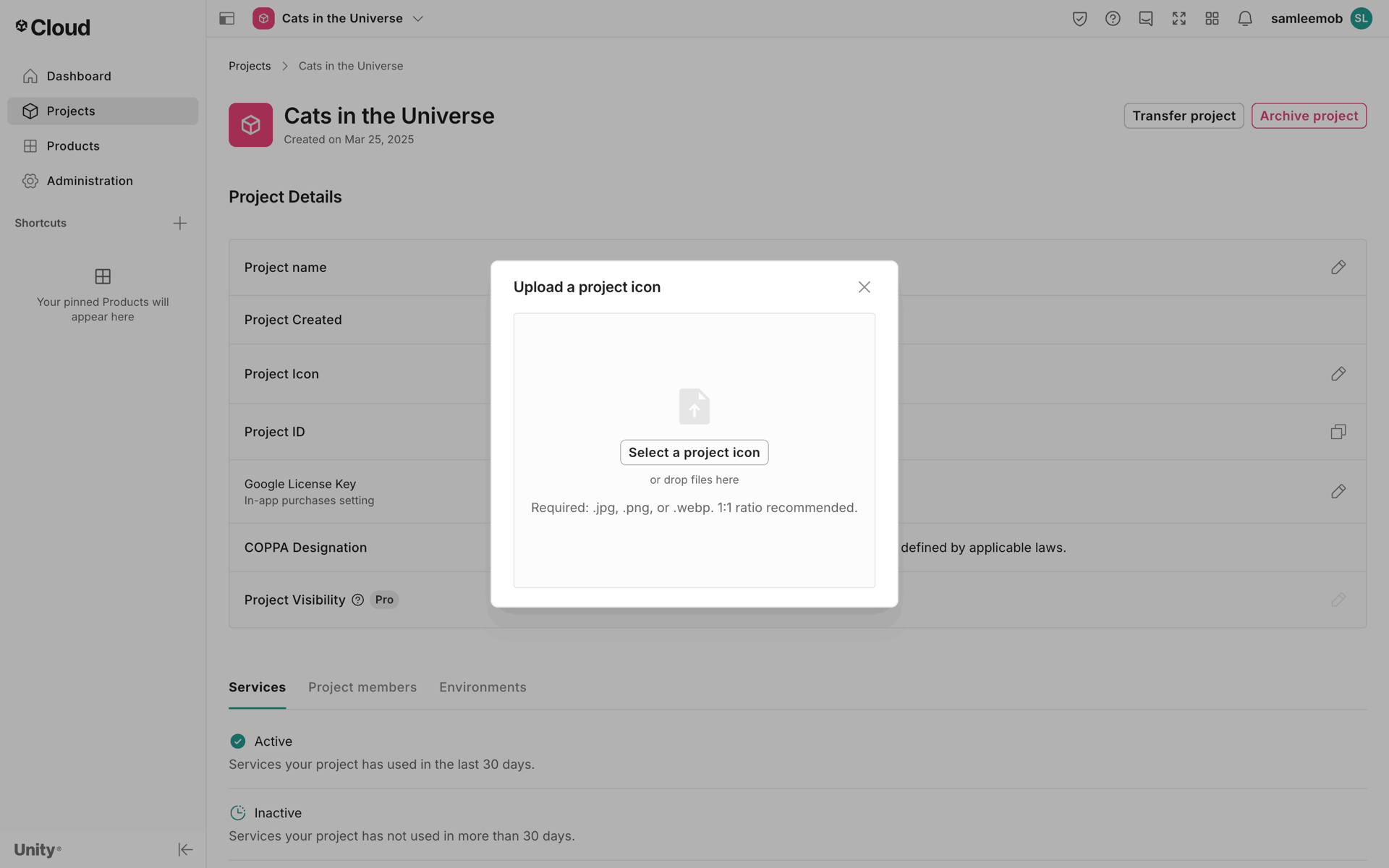 Unity Web Developer Tools interface screenshot 20