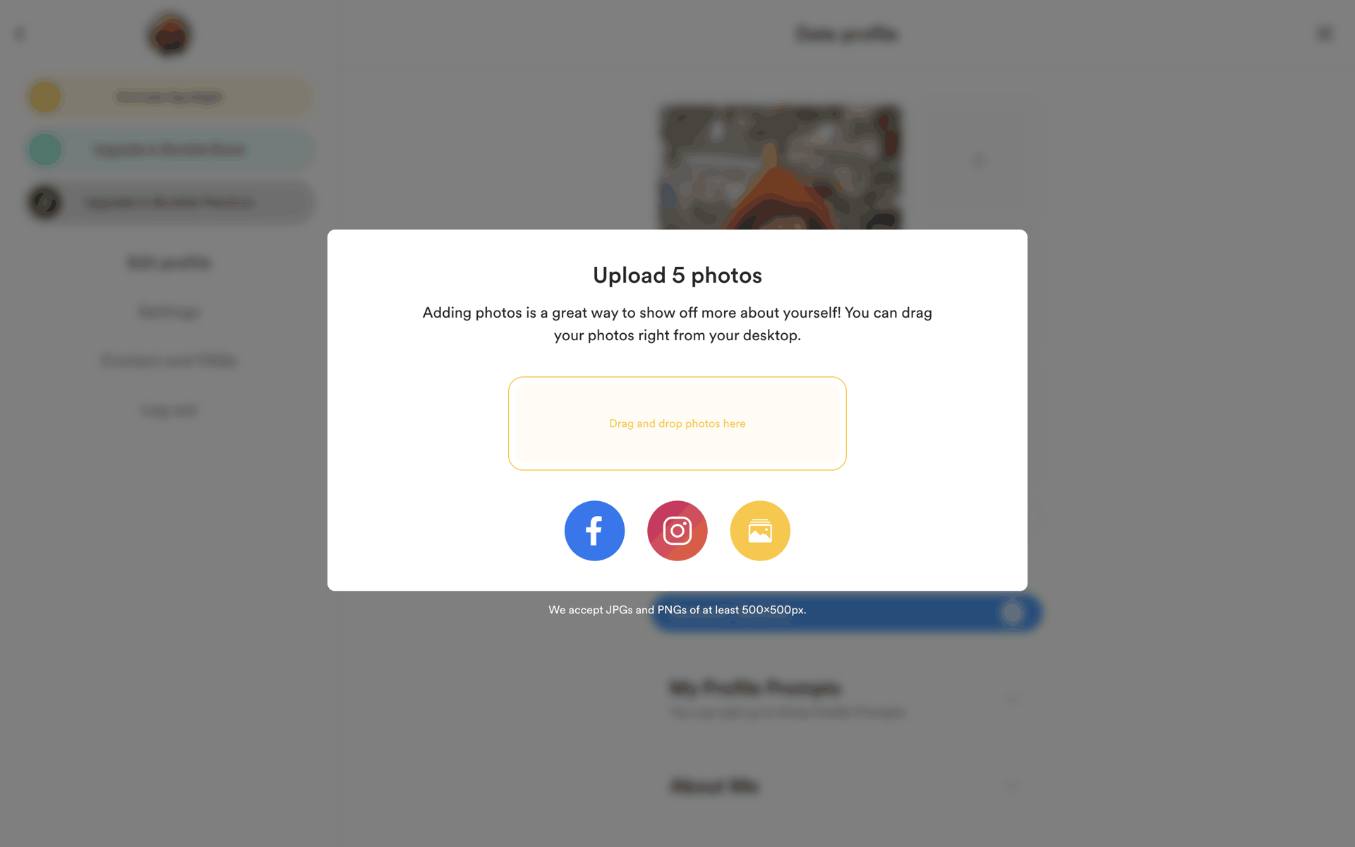 Bumble Web Lifestyle interface screenshot 16