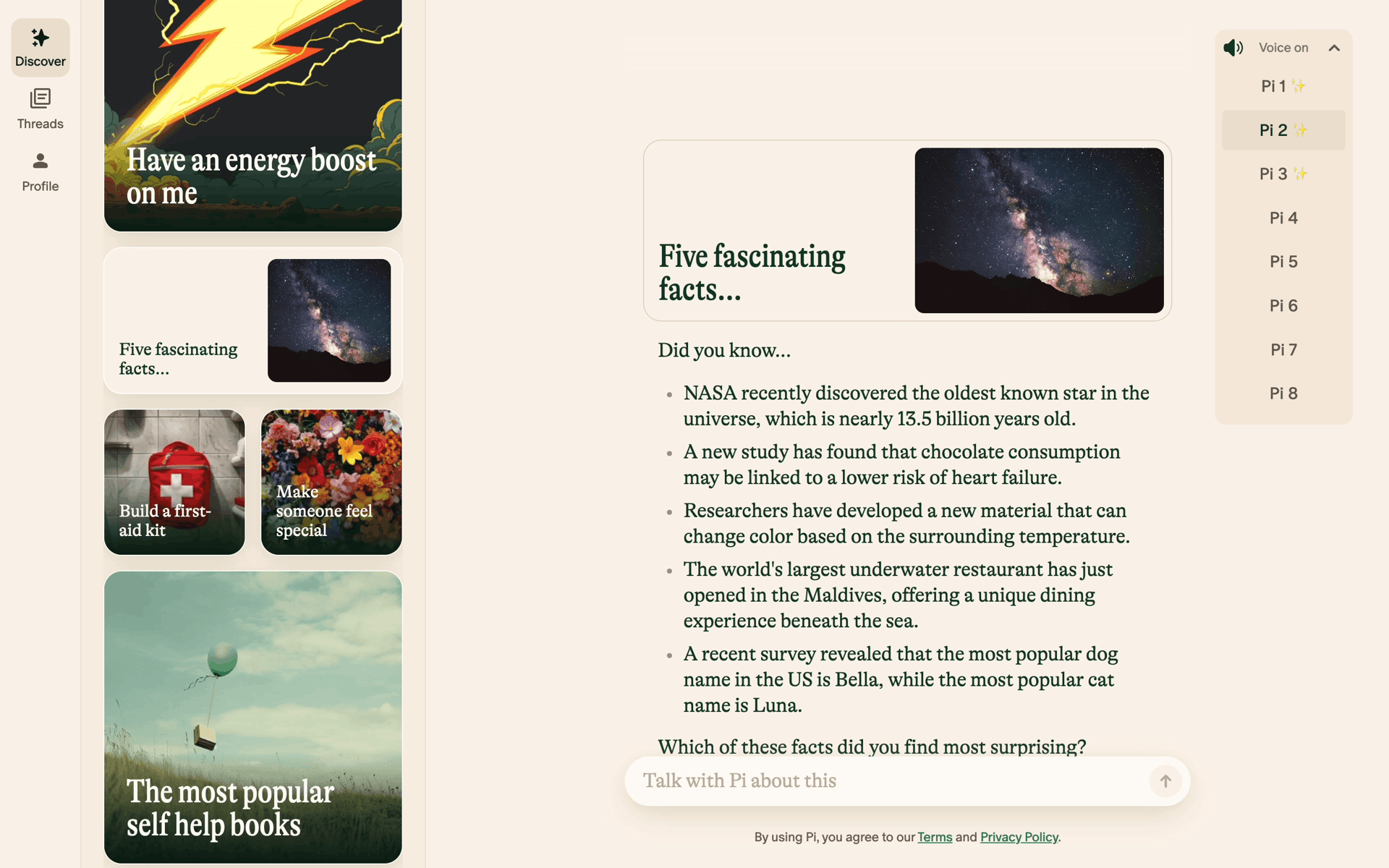 Pi Web AI interface screenshot 16