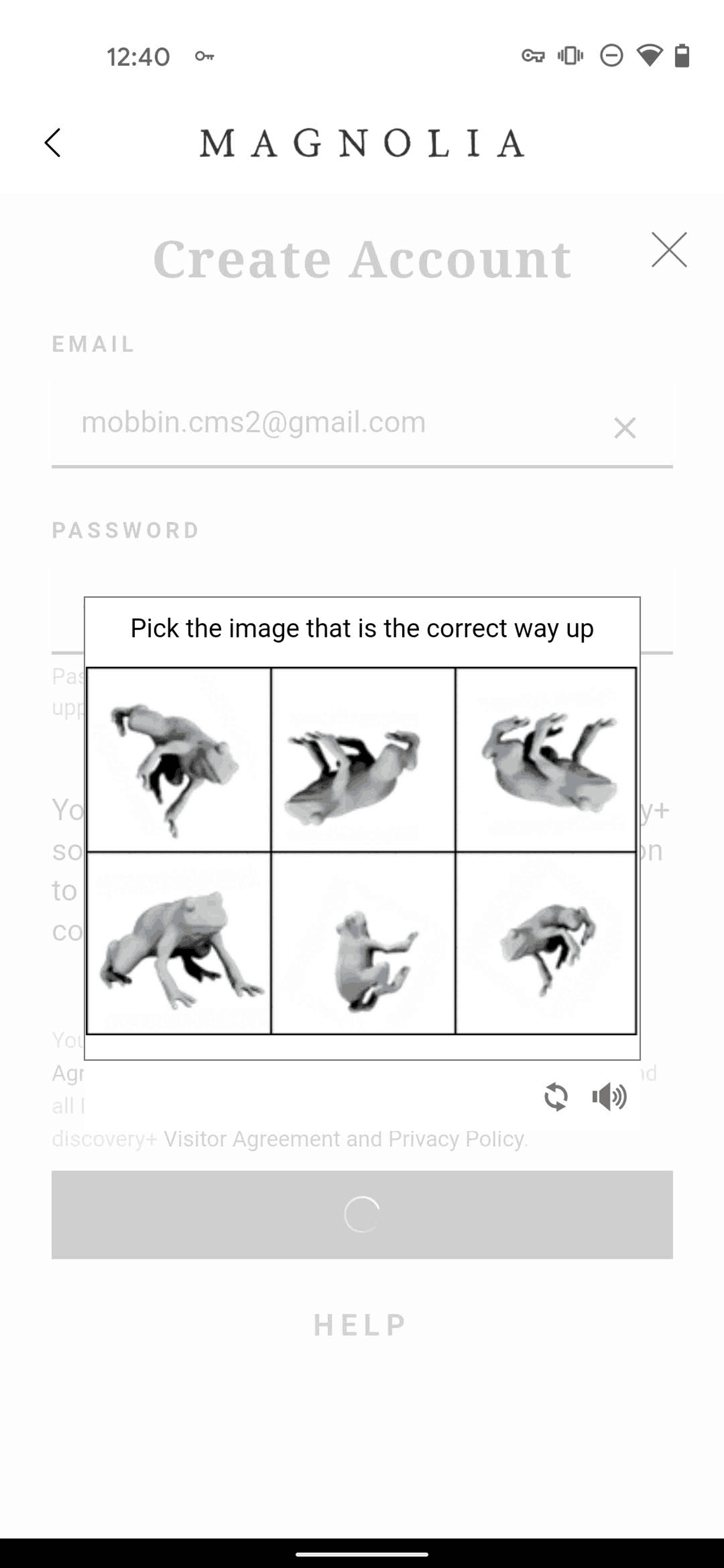 Magnolia Android Entertainment interface screenshot 16