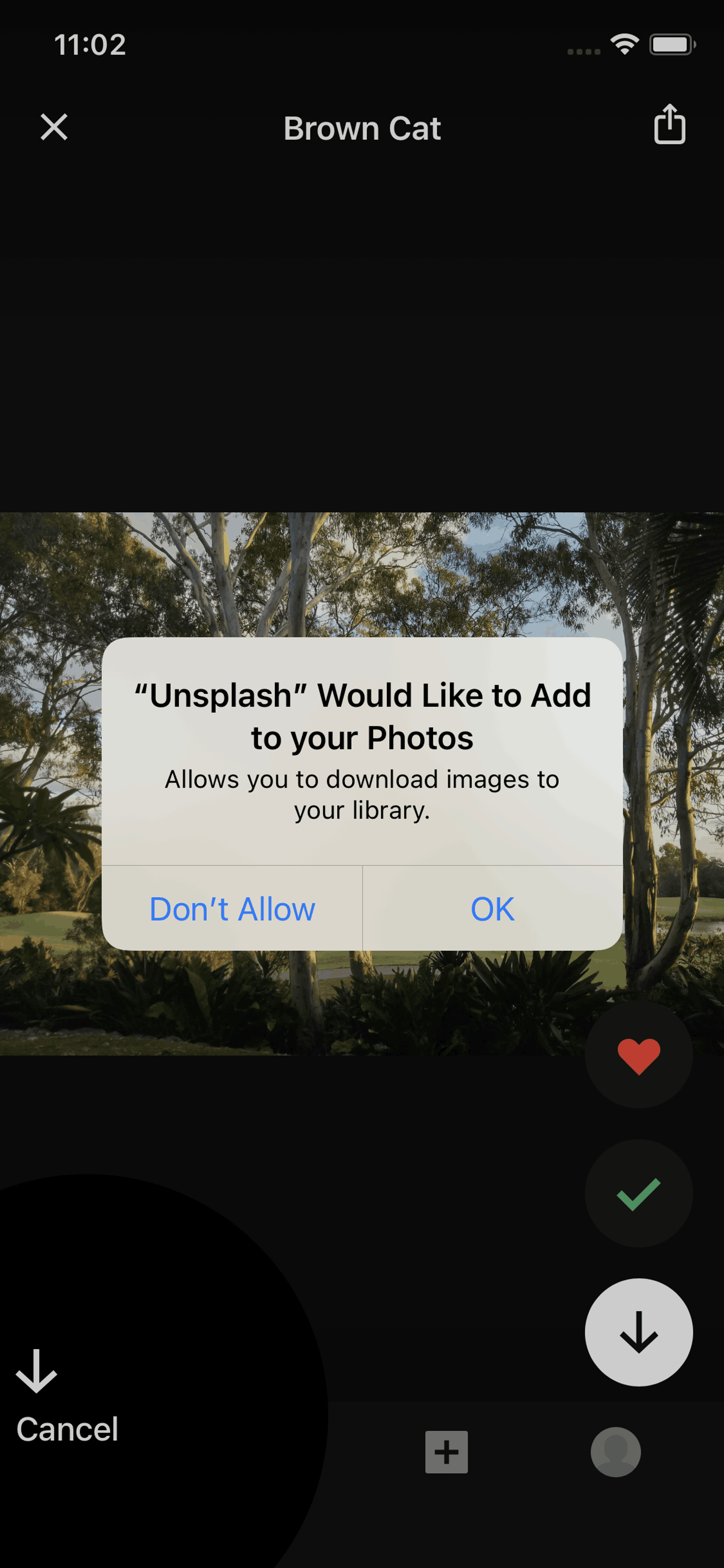 Unsplash iOS Photo & Video interface screenshot 21