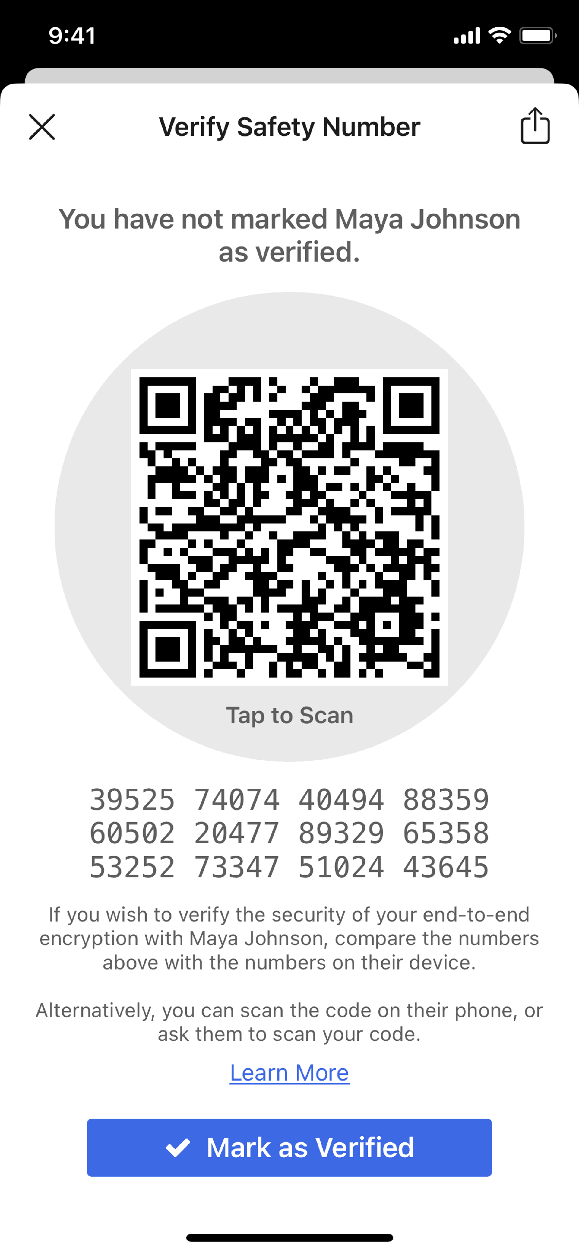 Signal iOS Social Networking interface screenshot 7
