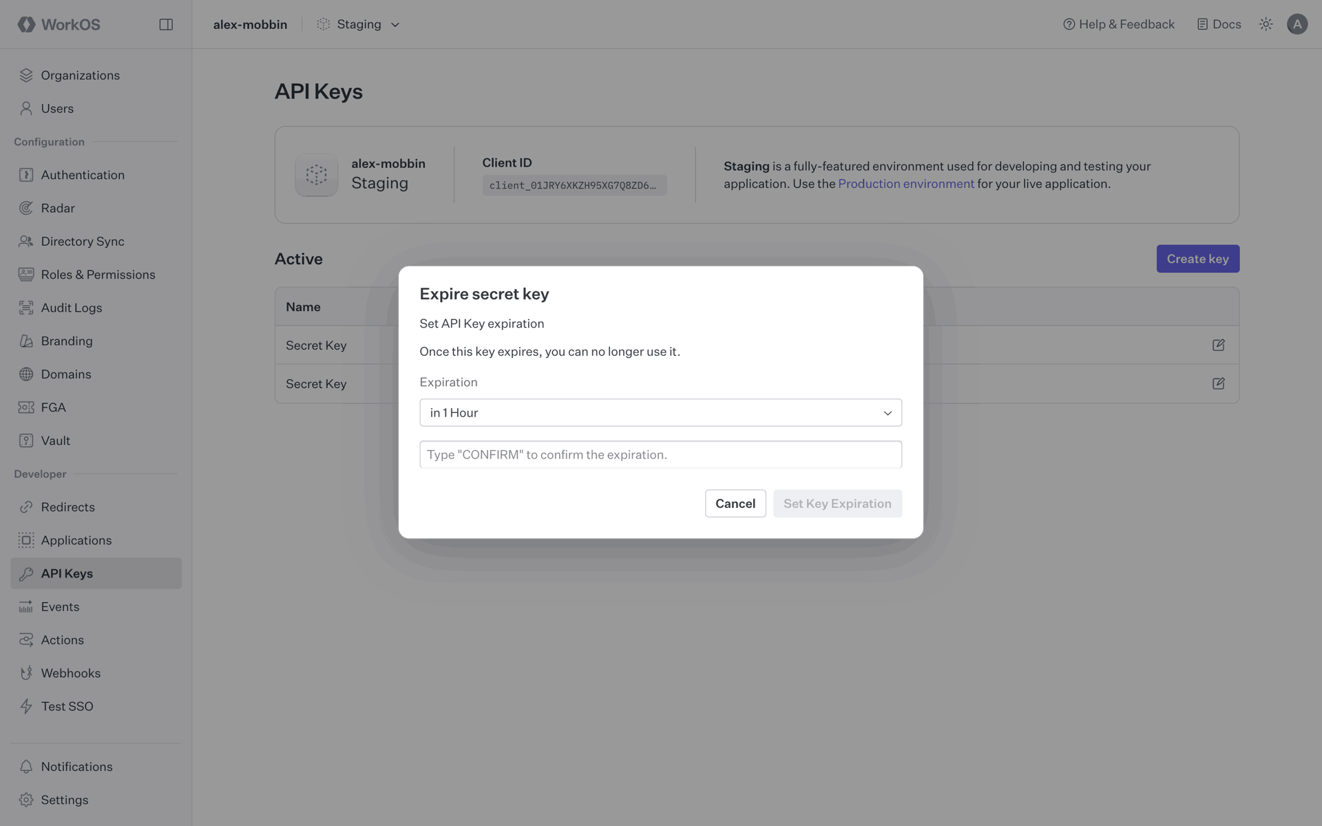 WorkOS Web Developer Tools interface screenshot 24