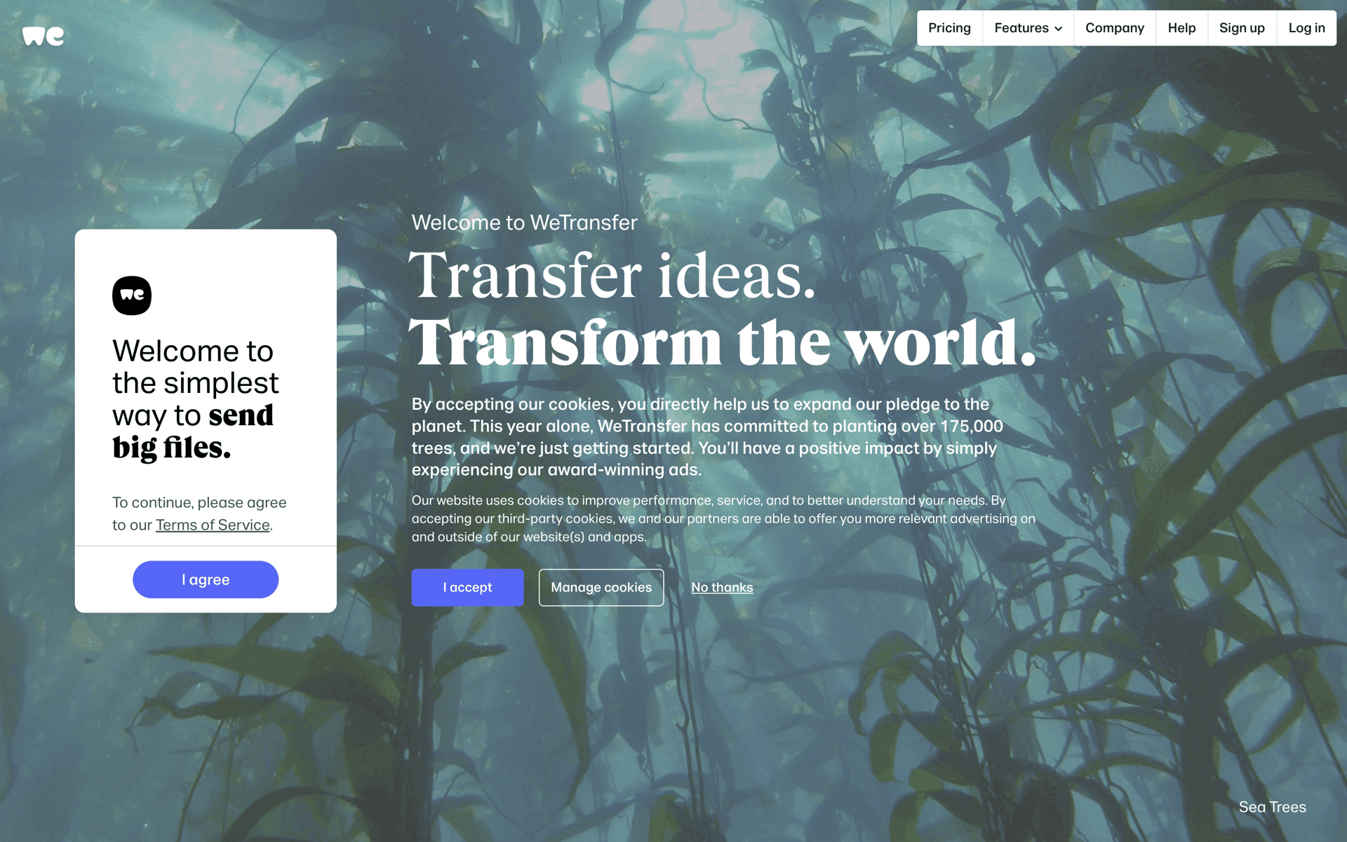 WeTransfer Web Productivity interface screenshot 2