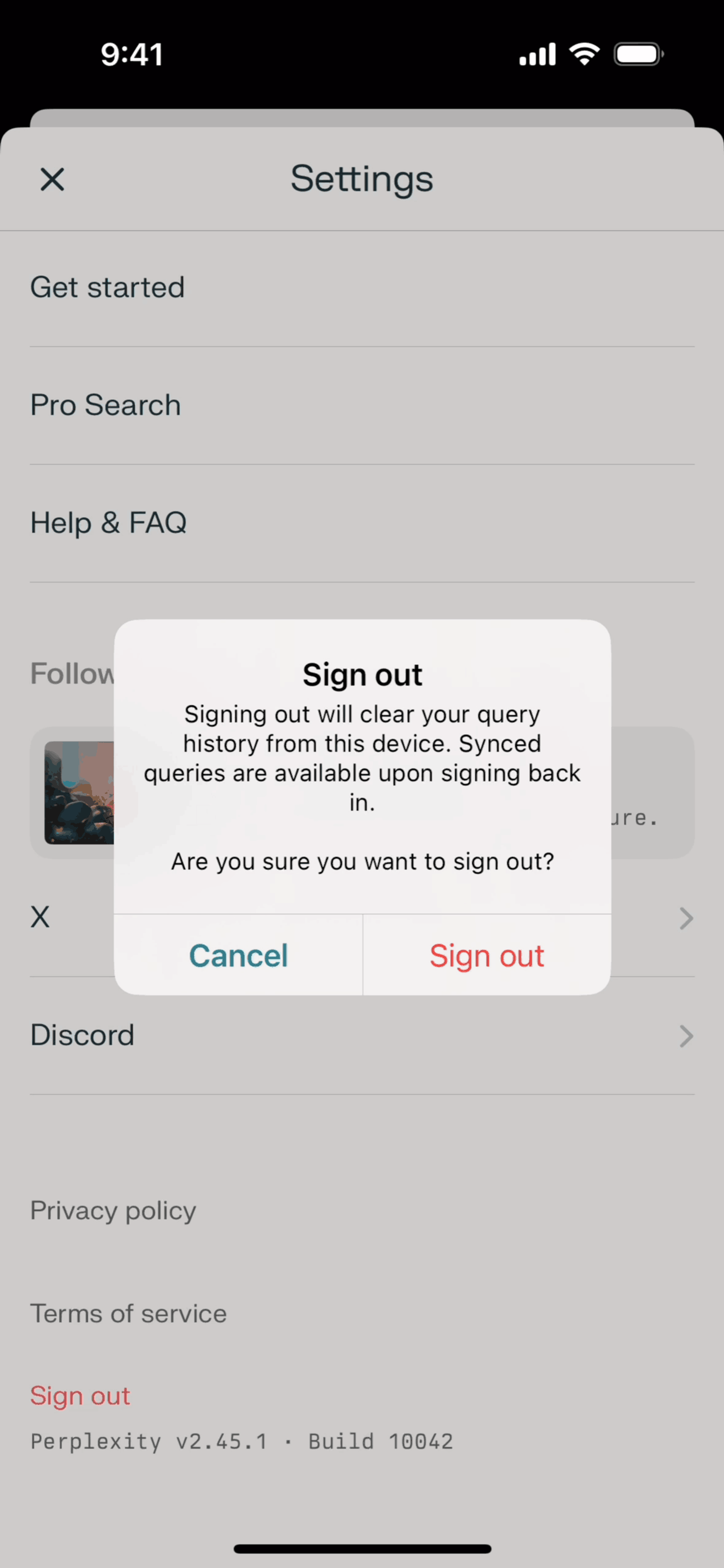 Perplexity iOS AI interface screenshot 10