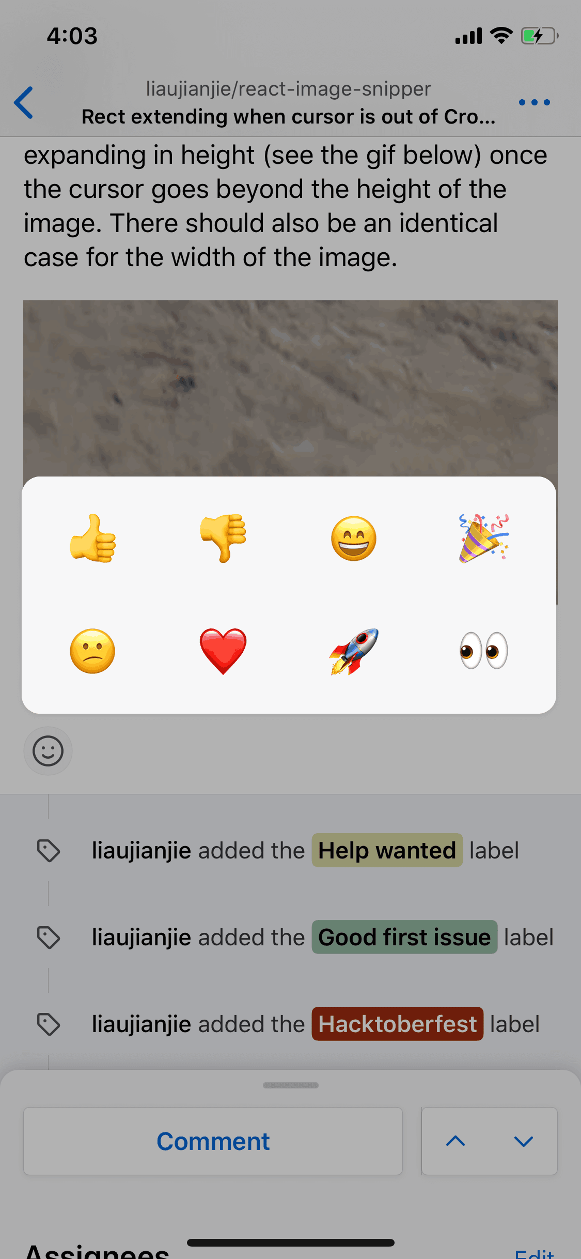 GitHub iOS Developer Tools interface screenshot 18