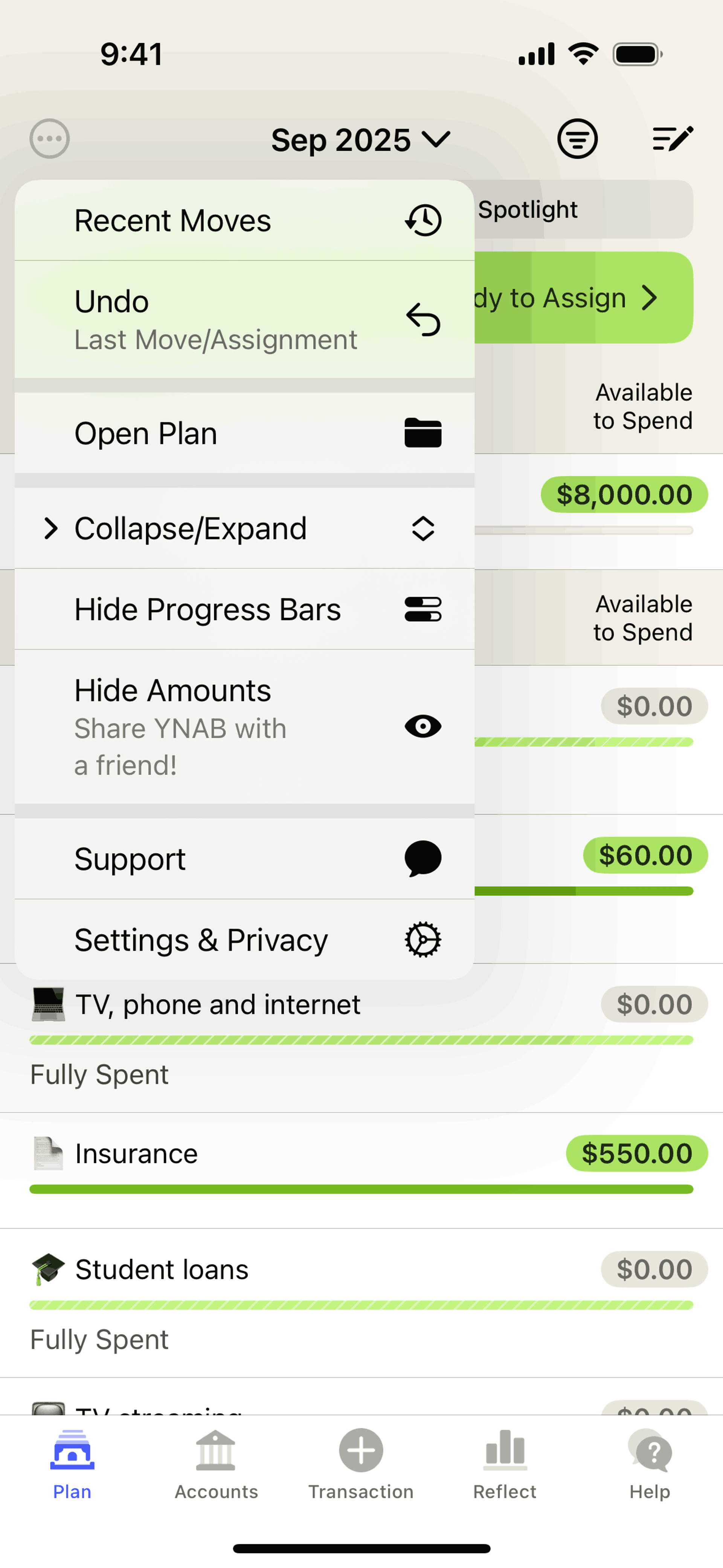 YNAB iOS Finance interface screenshot 9