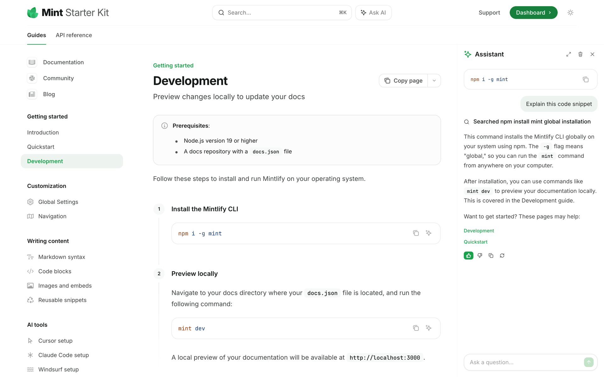 Mintlify Web Developer Tools interface screenshot 22