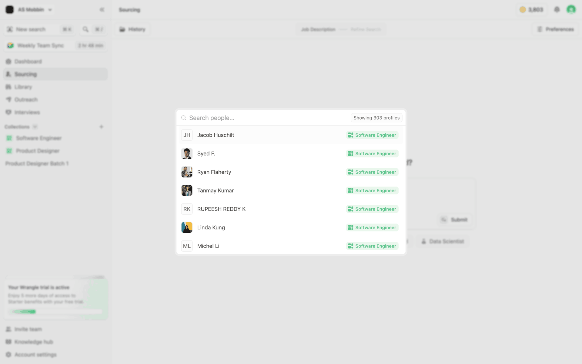 Wrangle Web AI interface screenshot 15