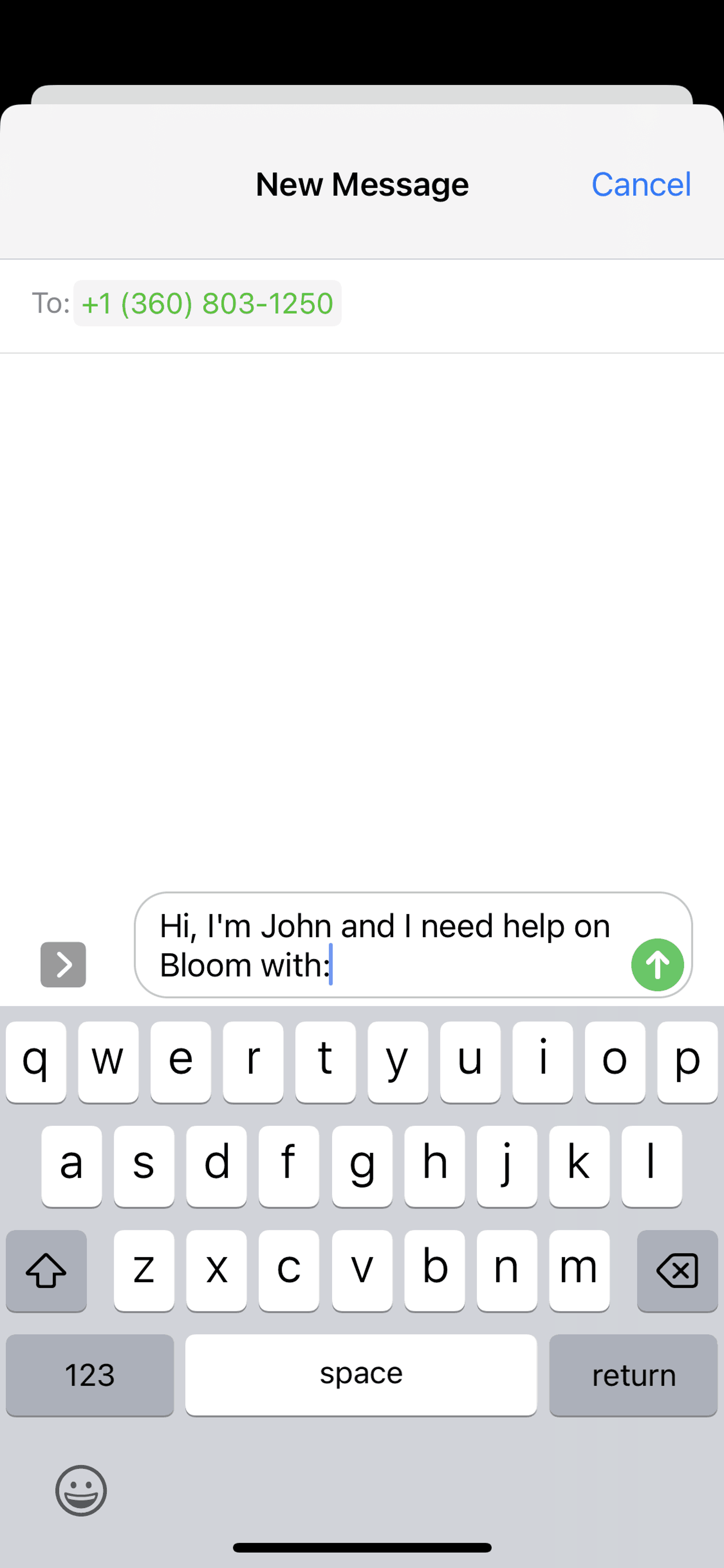 Bloom iOS Finance interface screenshot 22