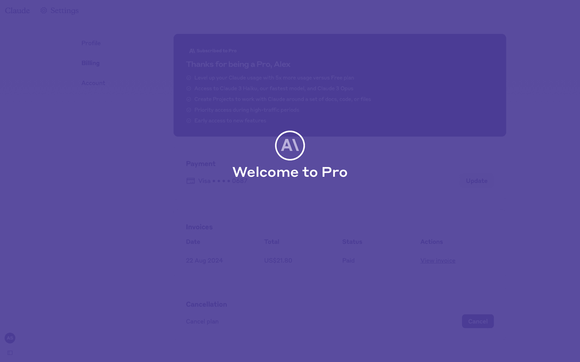 Claude Web AI interface screenshot 24