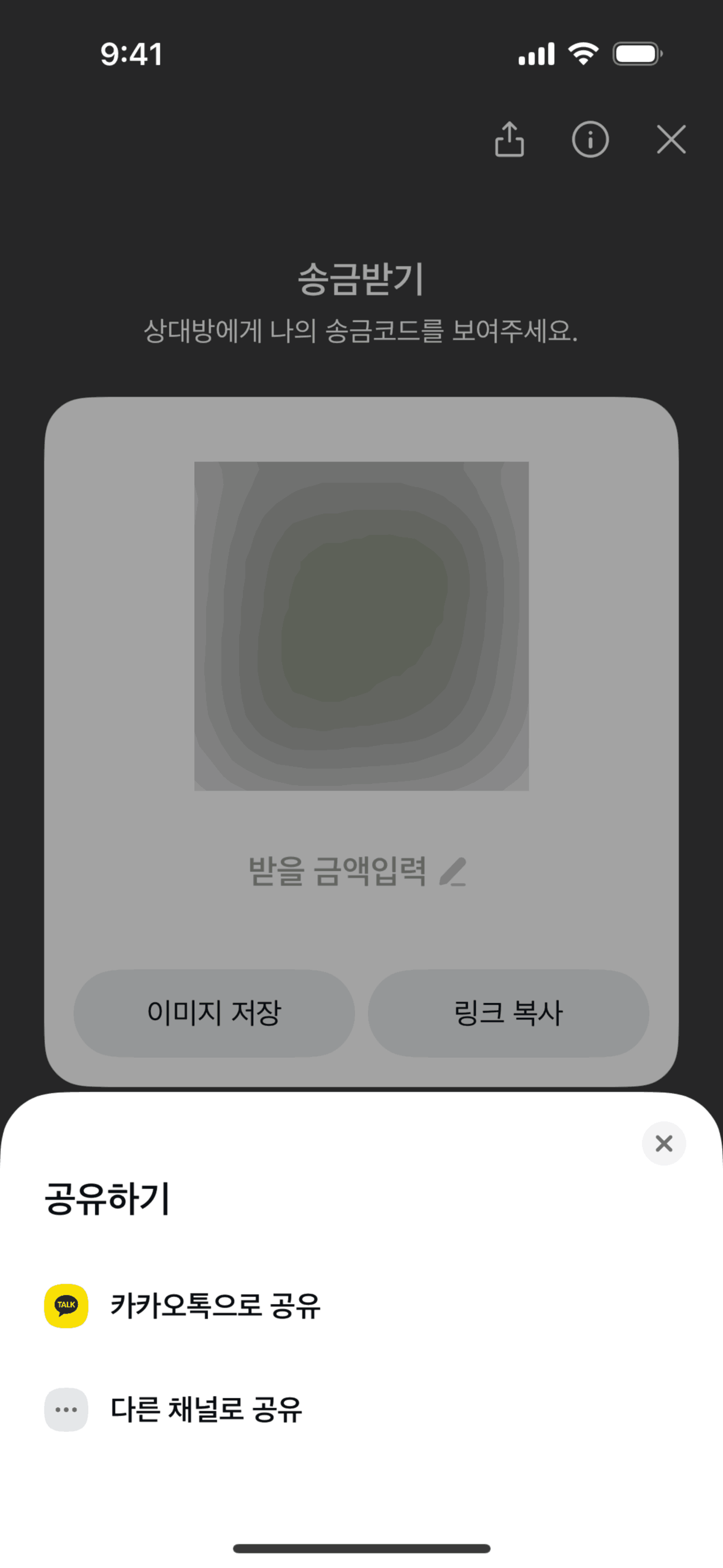 Kakao Pay iOS Finance interface screenshot 16