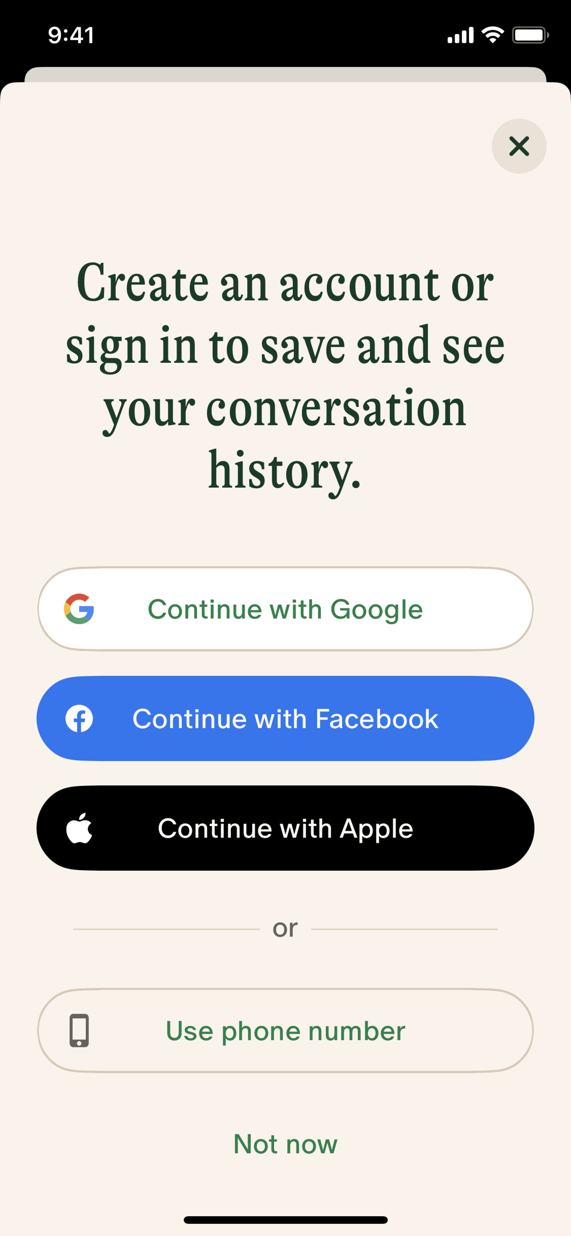 Pi iOS AI interface screenshot 16