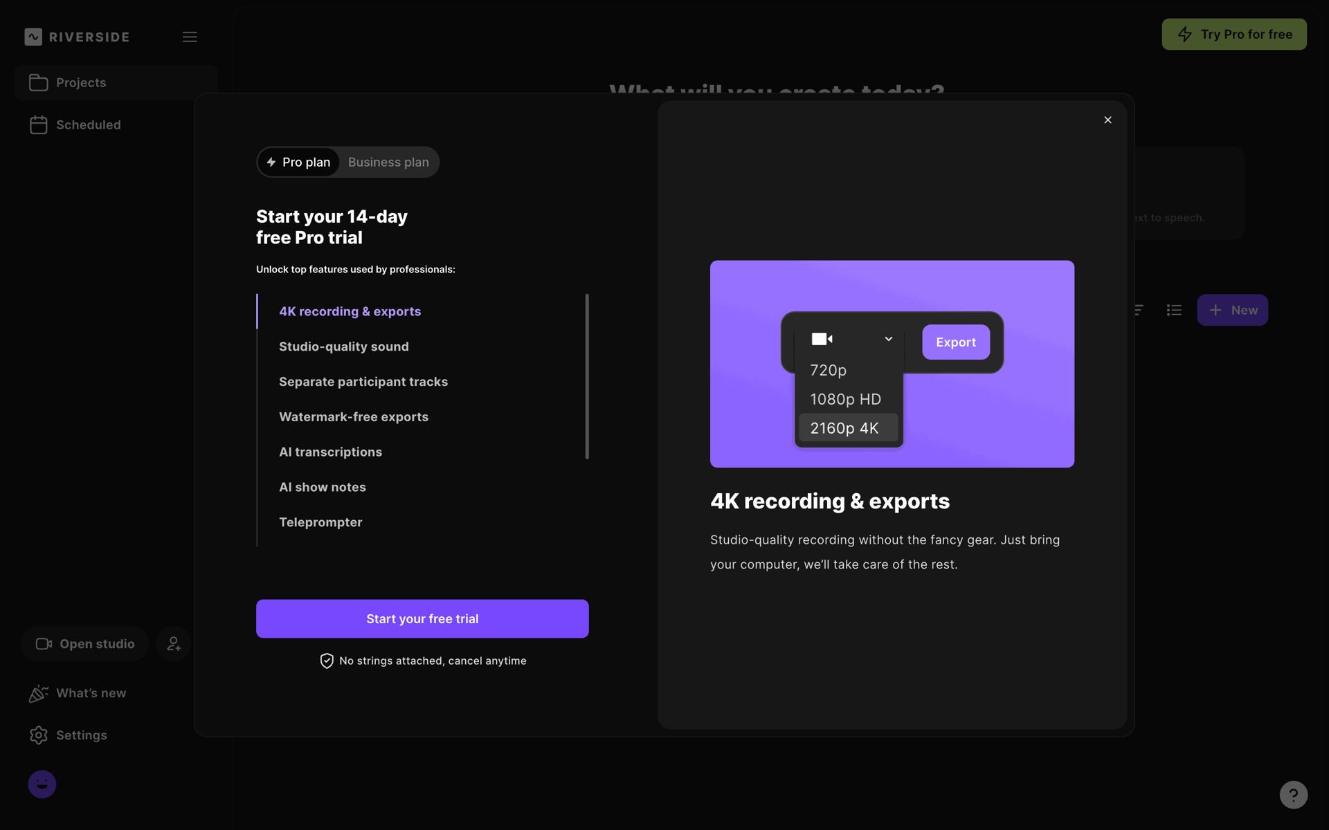 Riverside Web Photo & Video interface screenshot 13