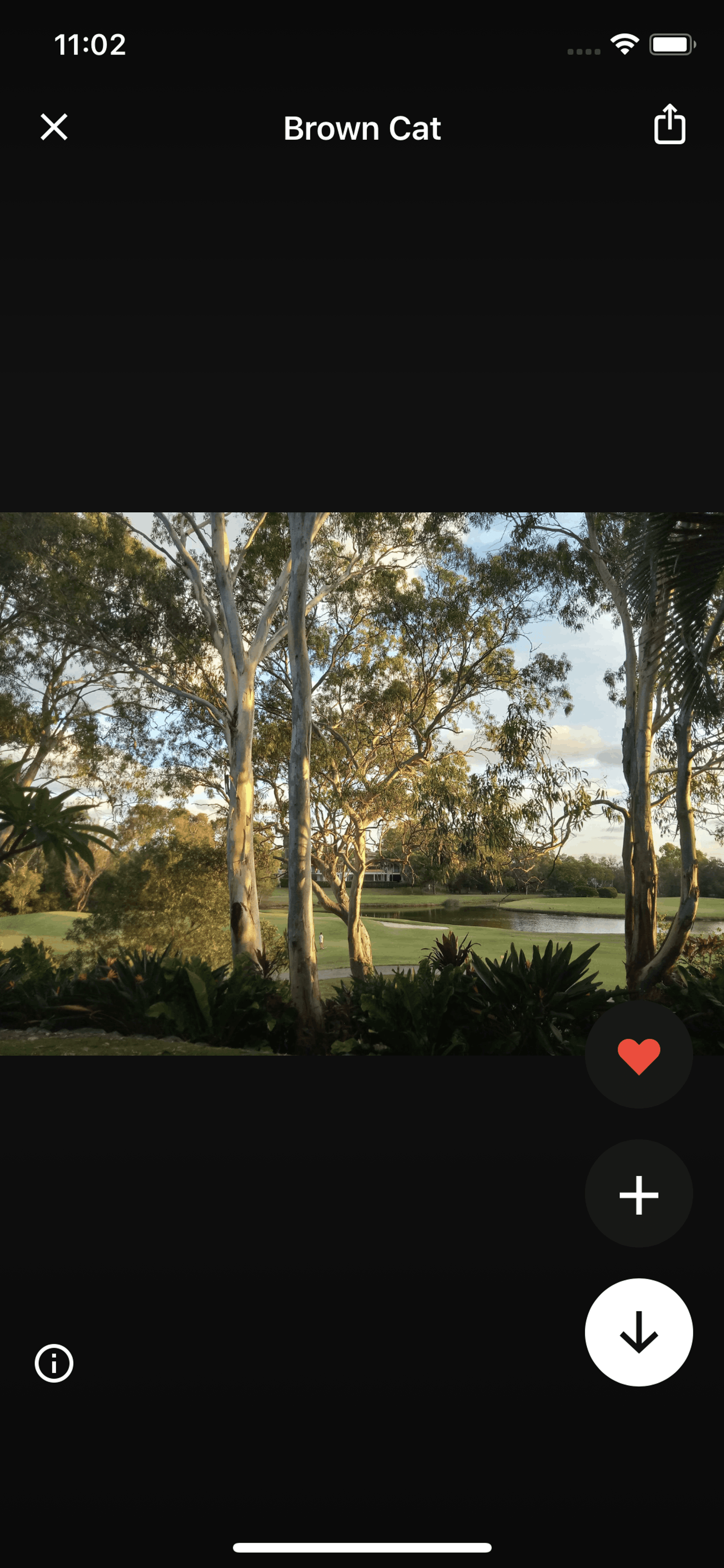 Unsplash iOS Photo & Video interface screenshot 16