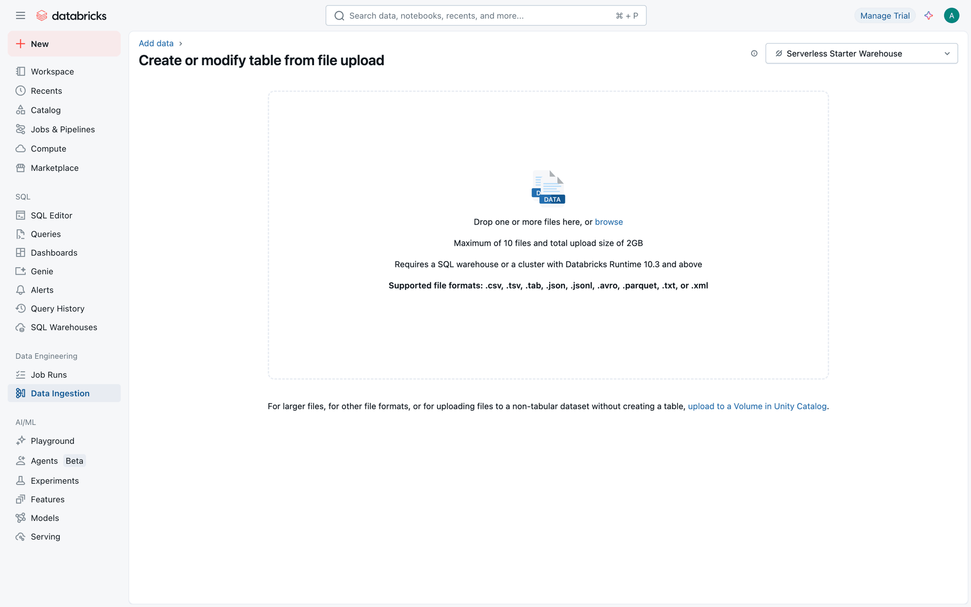 Databricks Web Developer Tools interface screenshot 20