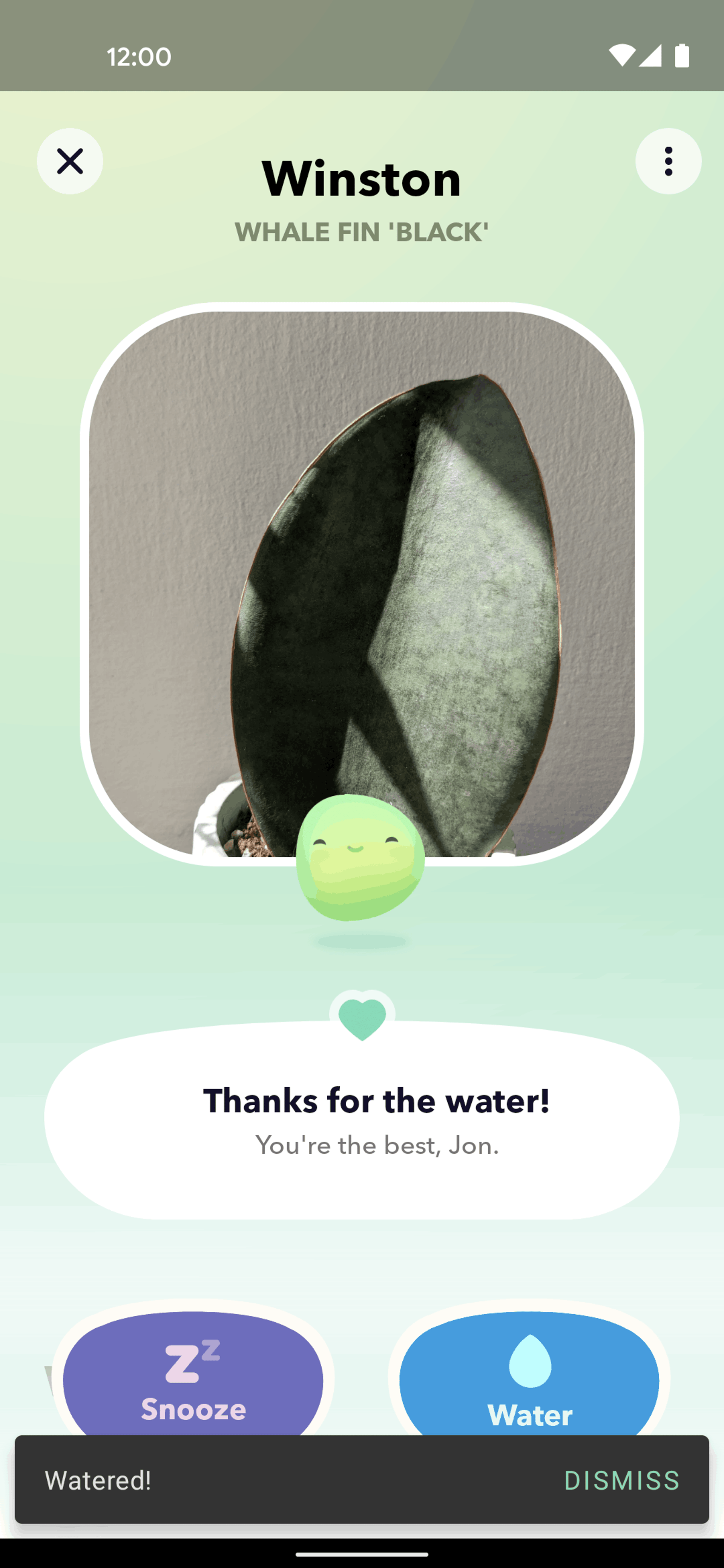 Greg Android Productivity interface screenshot 7