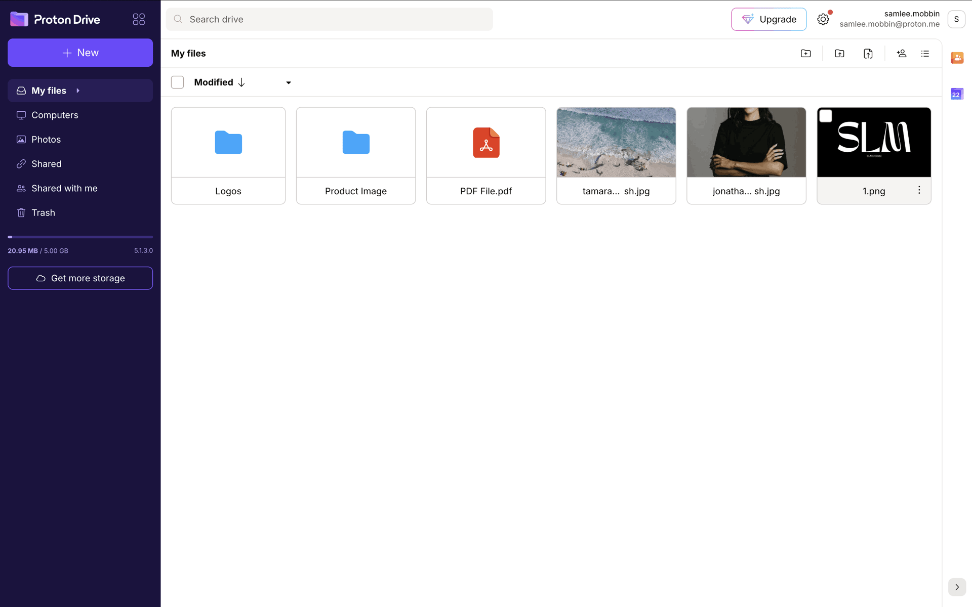 Proton Web Utilities interface screenshot 22