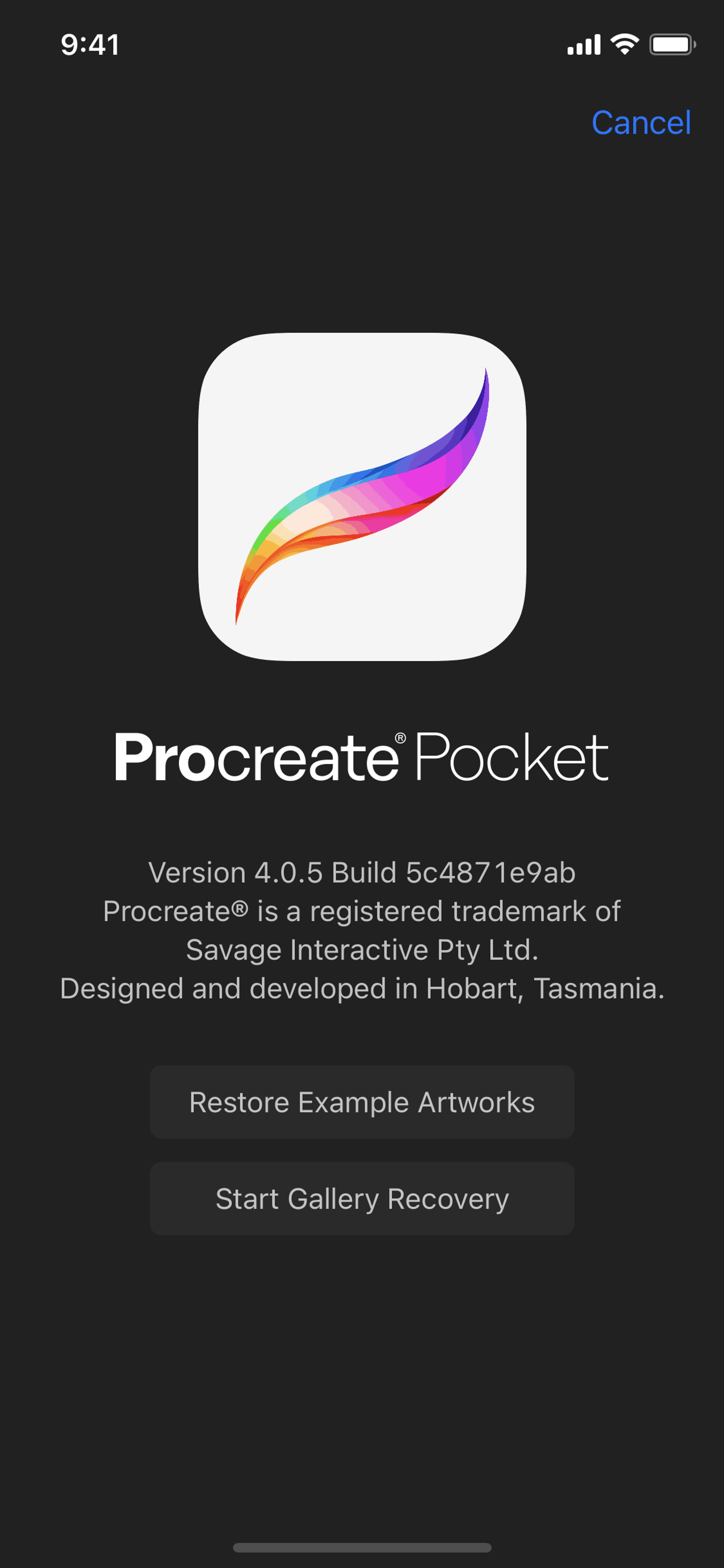 Procreate Pocket iOS Graphics & Design interface screenshot 10