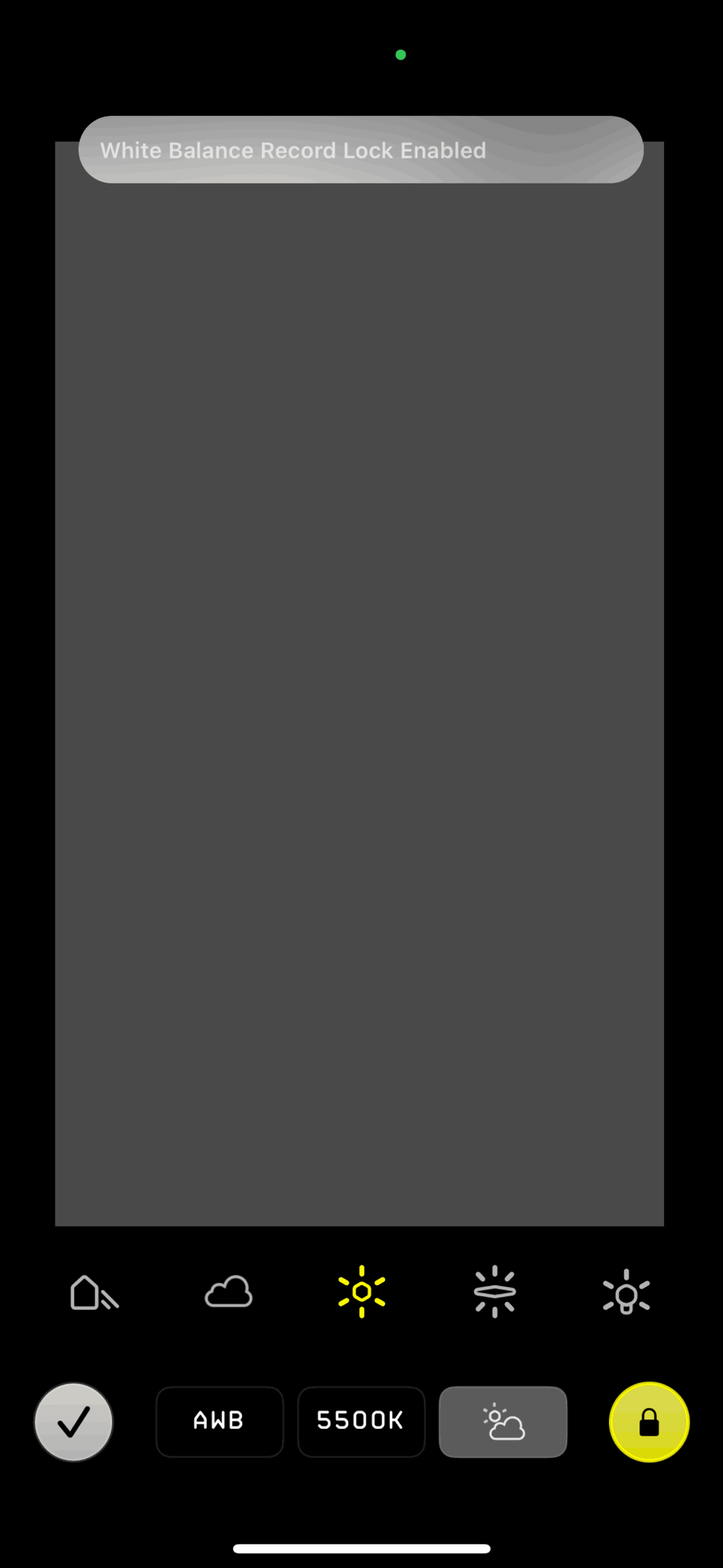Kino iOS Photo & Video interface screenshot 12