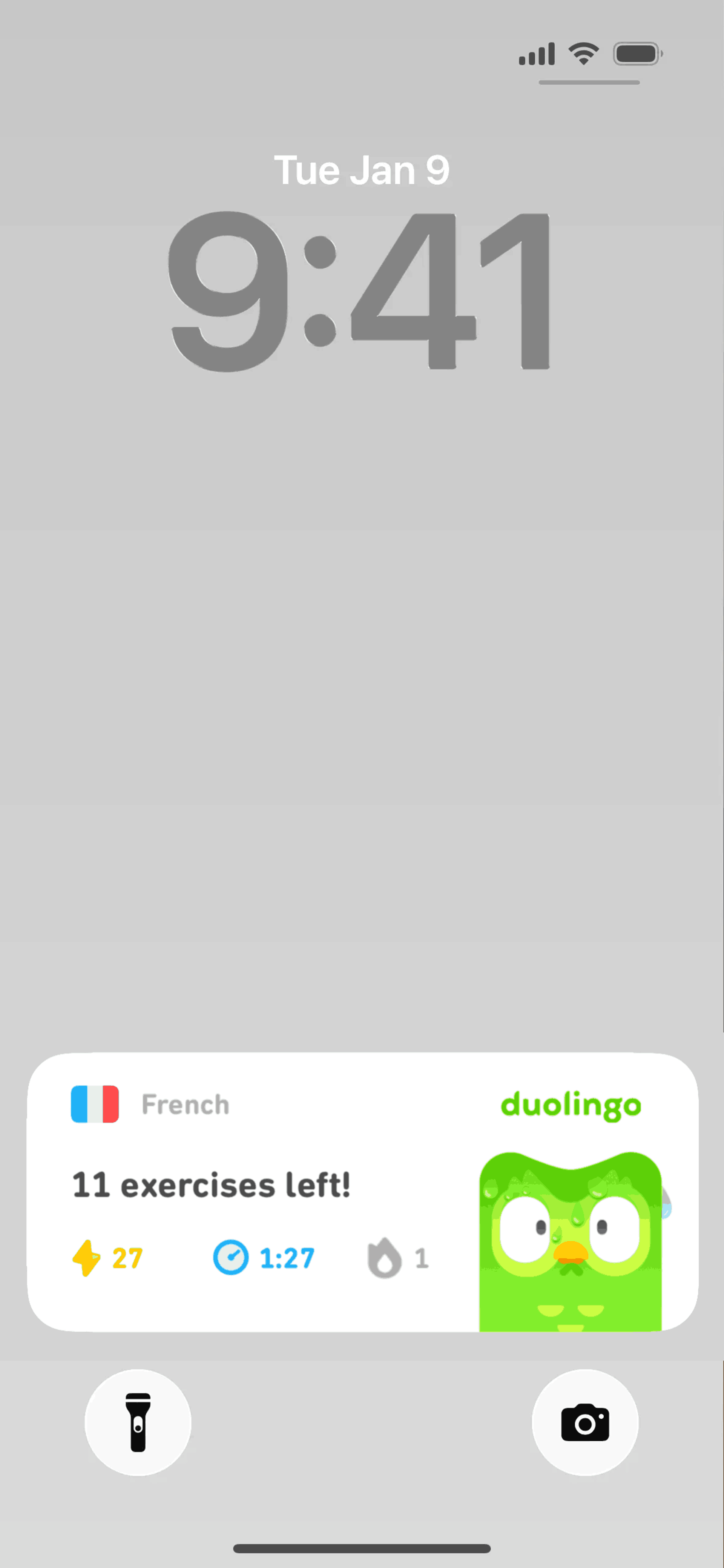 Duolingo iOS Education interface screenshot 4