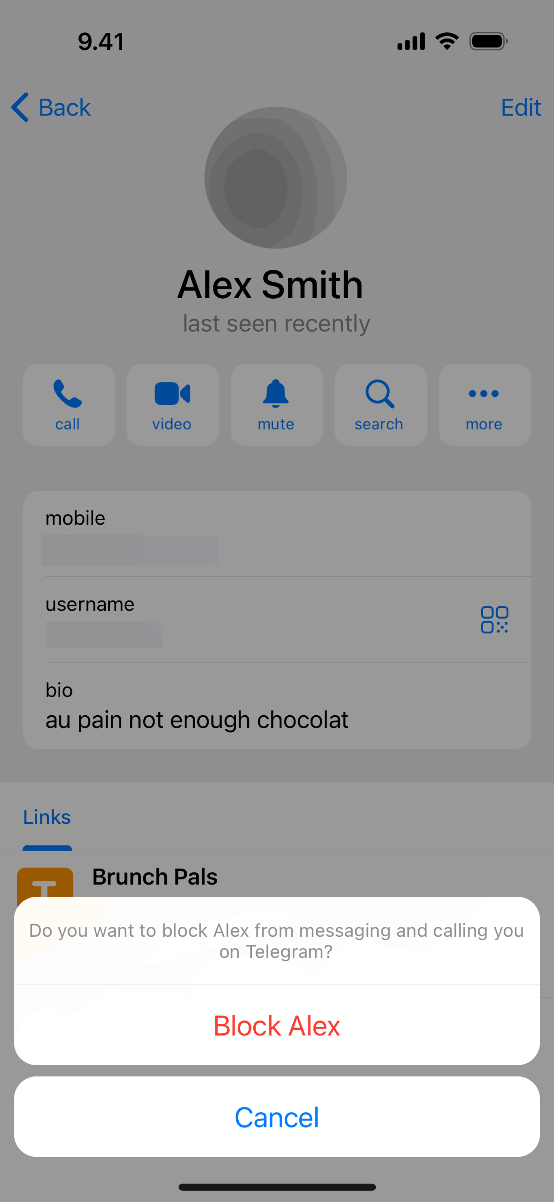 Telegram iOS Social Networking interface screenshot 19