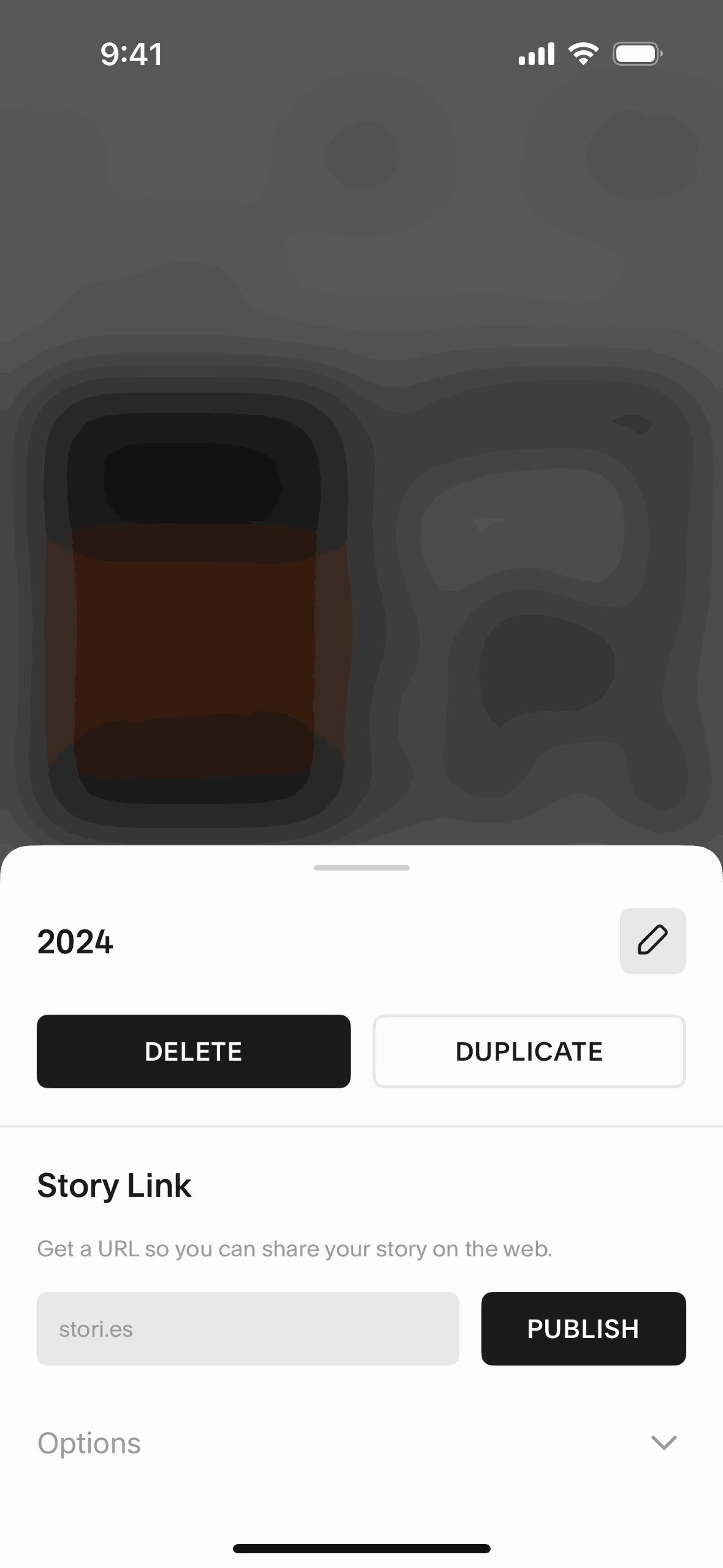 Unfold iOS Photo & Video interface screenshot 12