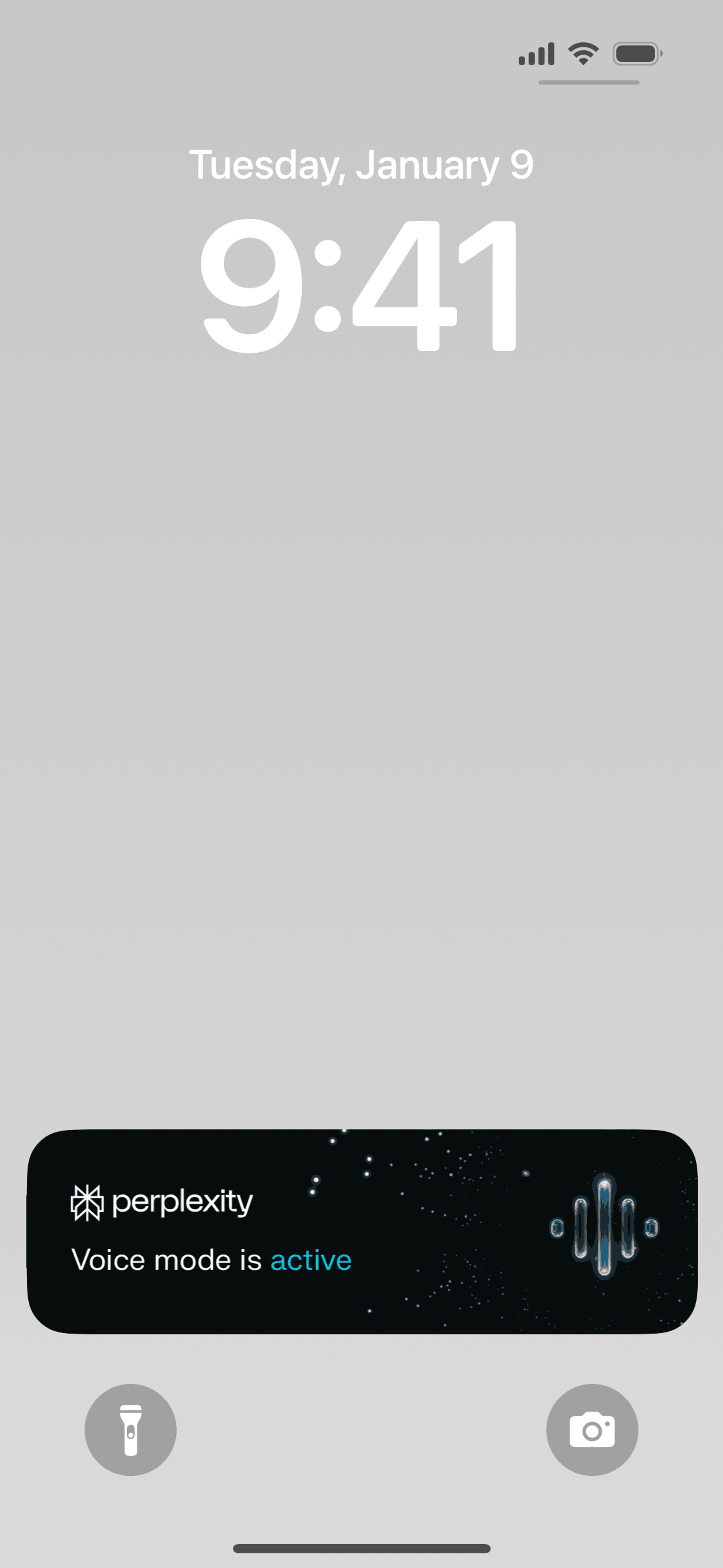 Perplexity iOS AI interface screenshot 2