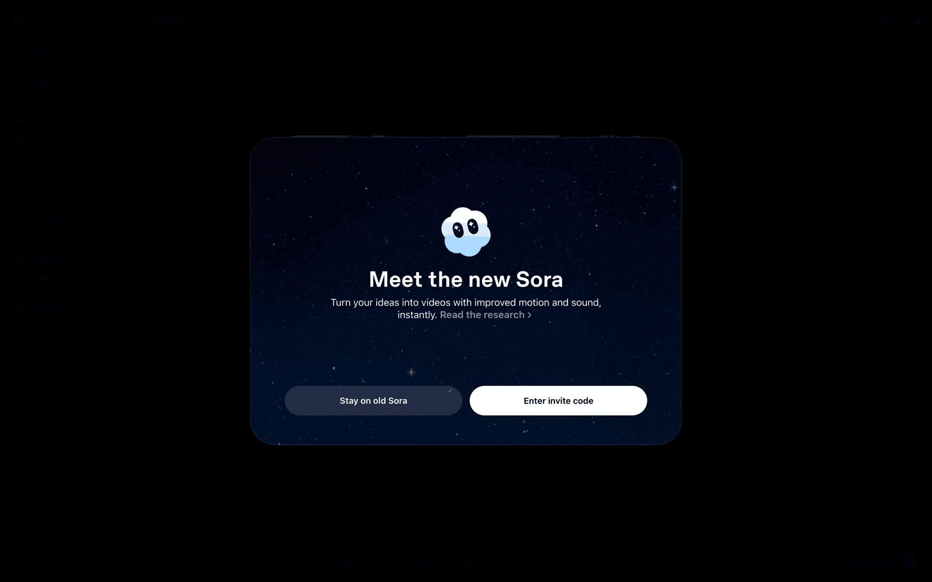 Sora Web AI interface screenshot 14
