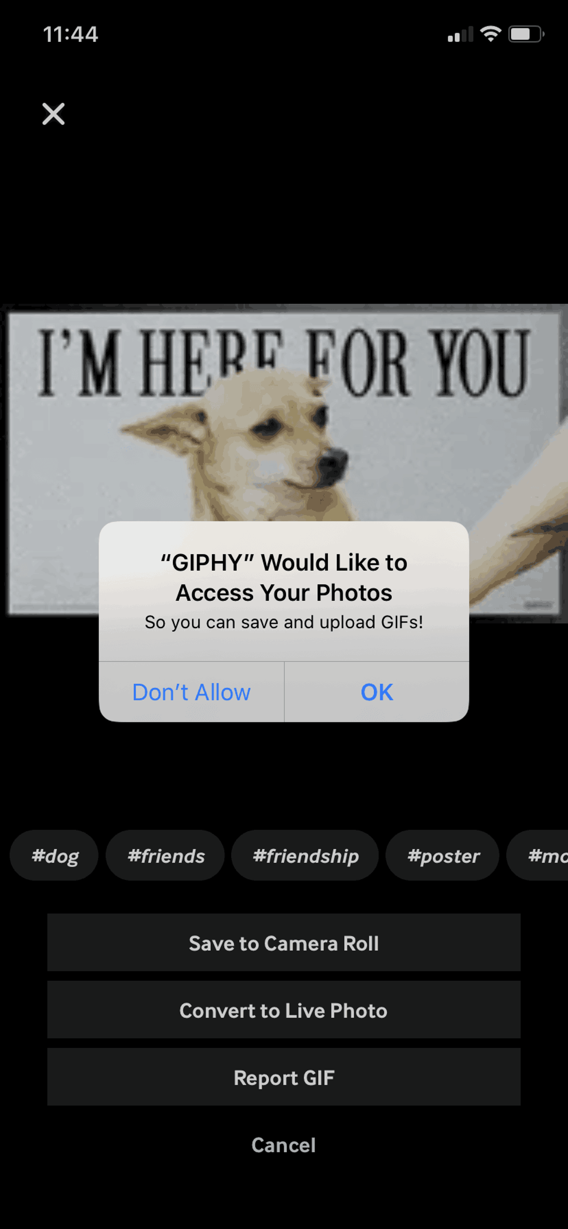 GIPHY iOS Photo & Video interface screenshot 20