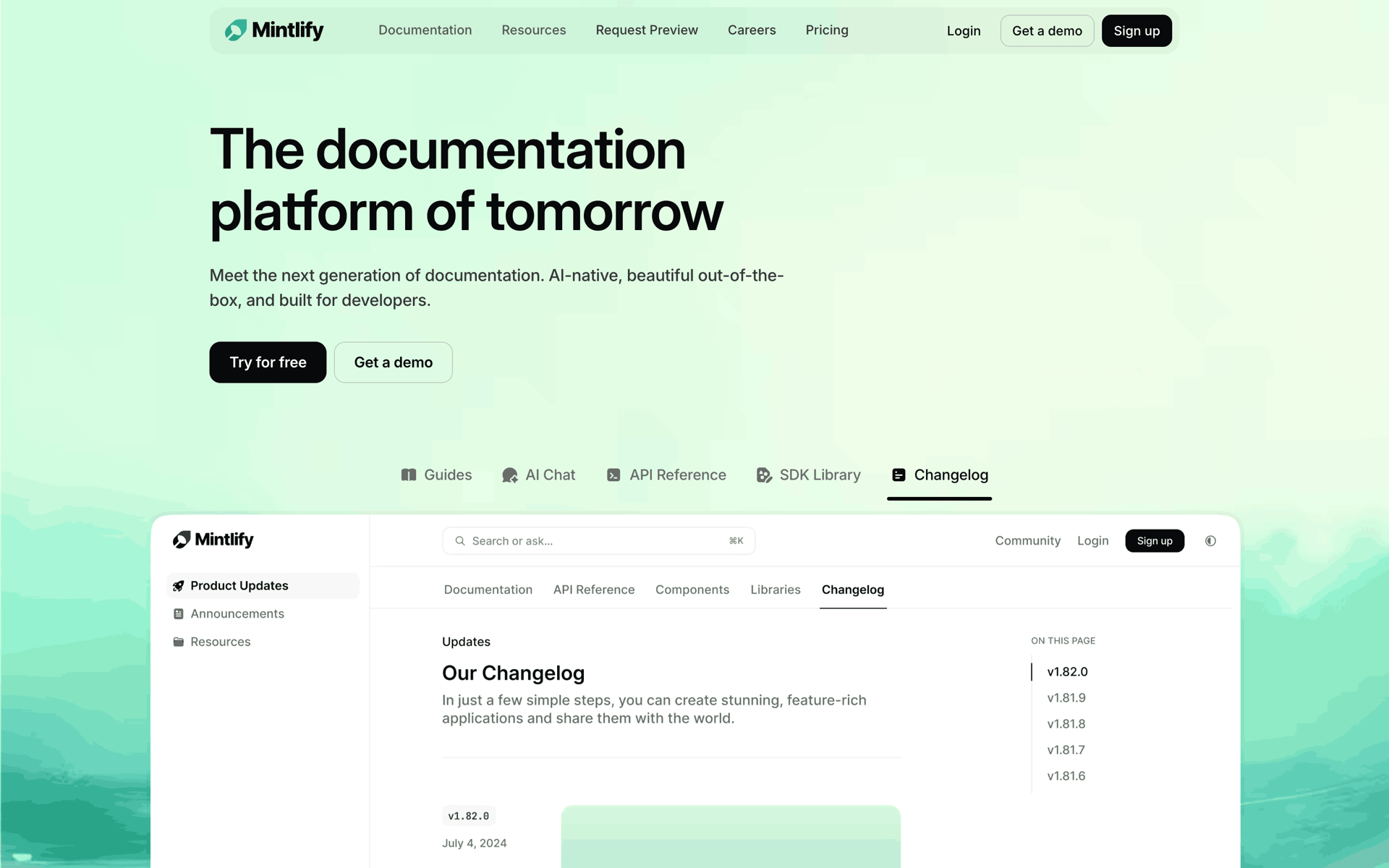 Mintlify Web Developer Tools interface screenshot 1