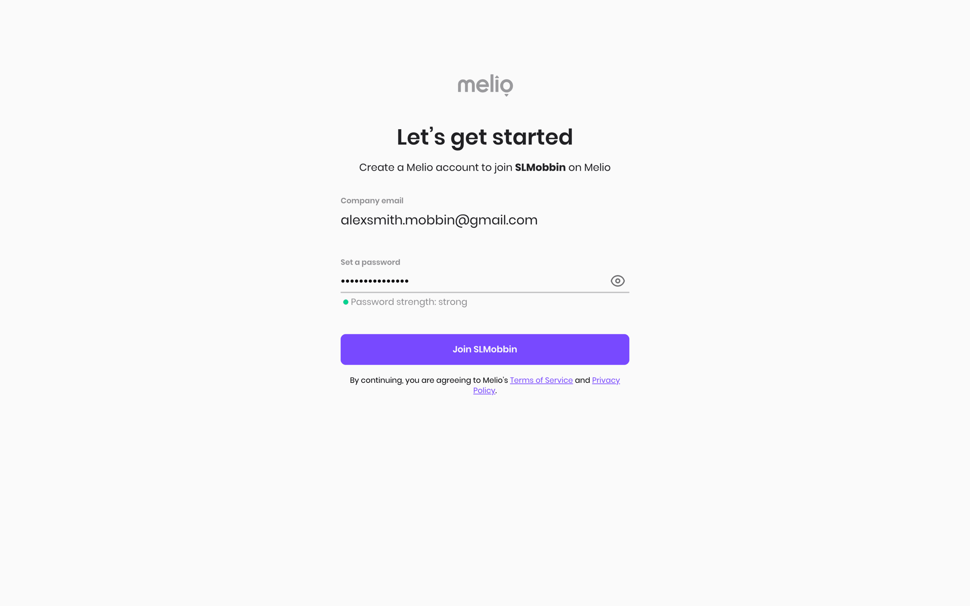 Melio Web Finance interface screenshot 19