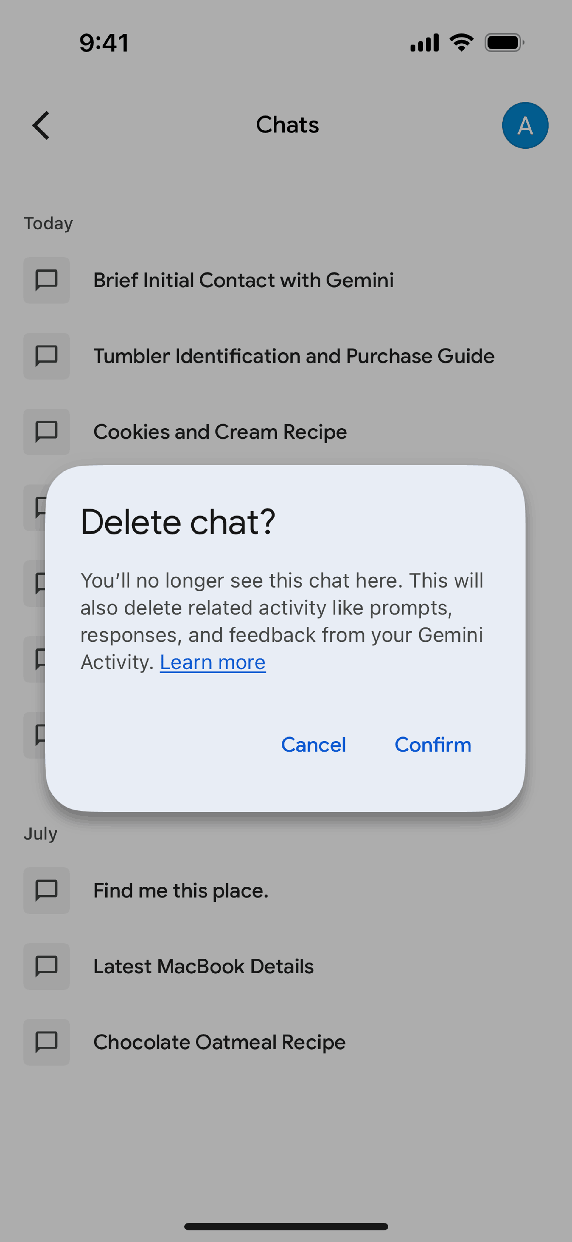 Google Gemini iOS AI interface screenshot 23