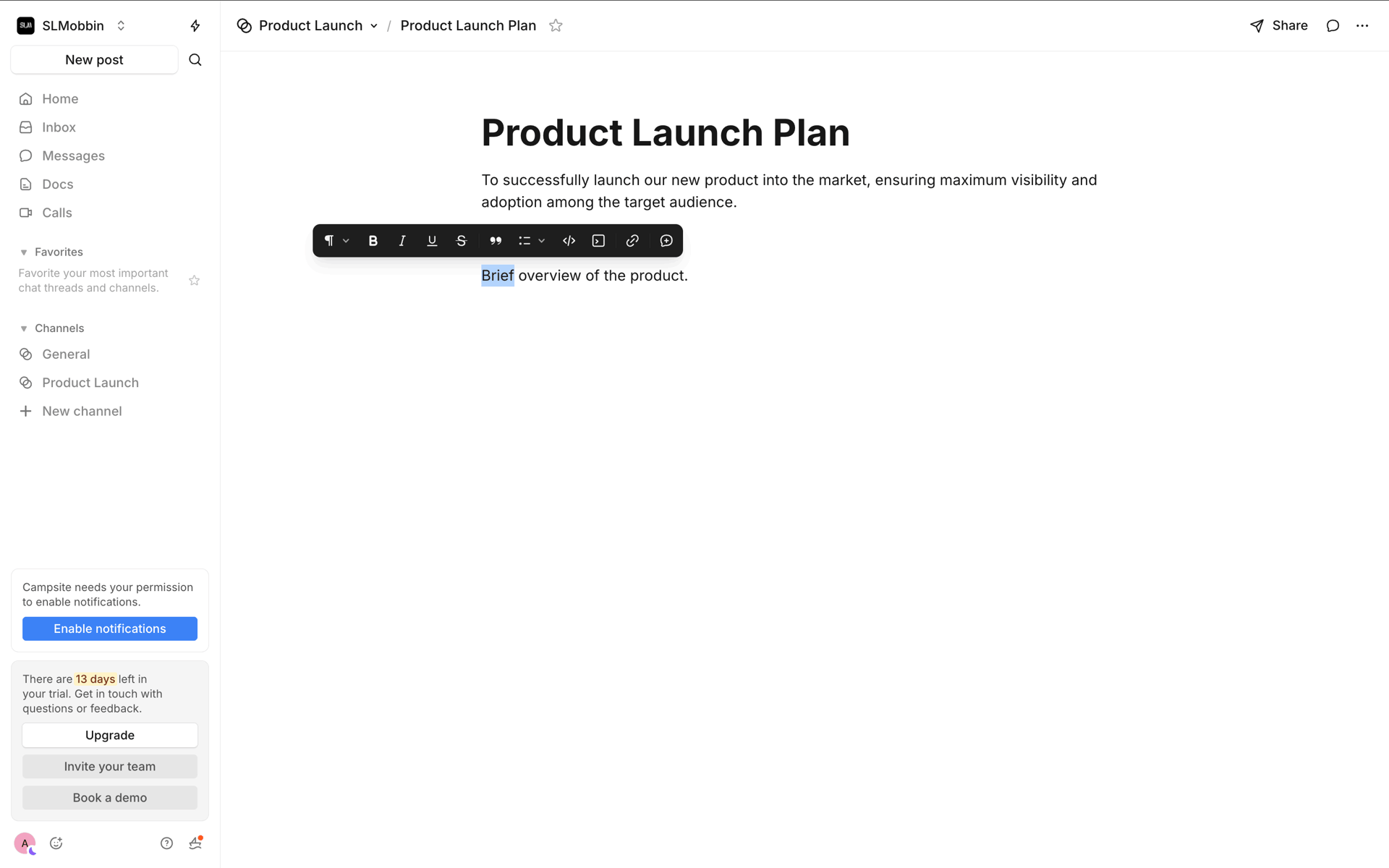 Campsite Web Productivity interface screenshot 7