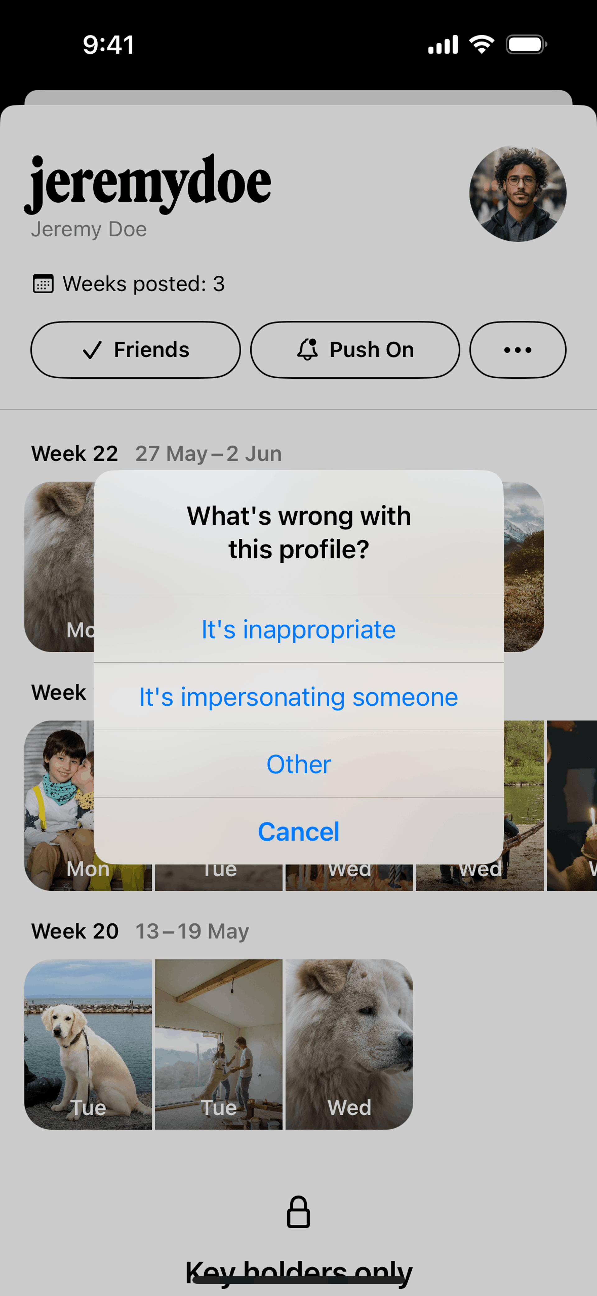 Retro iOS Social Networking interface screenshot 23