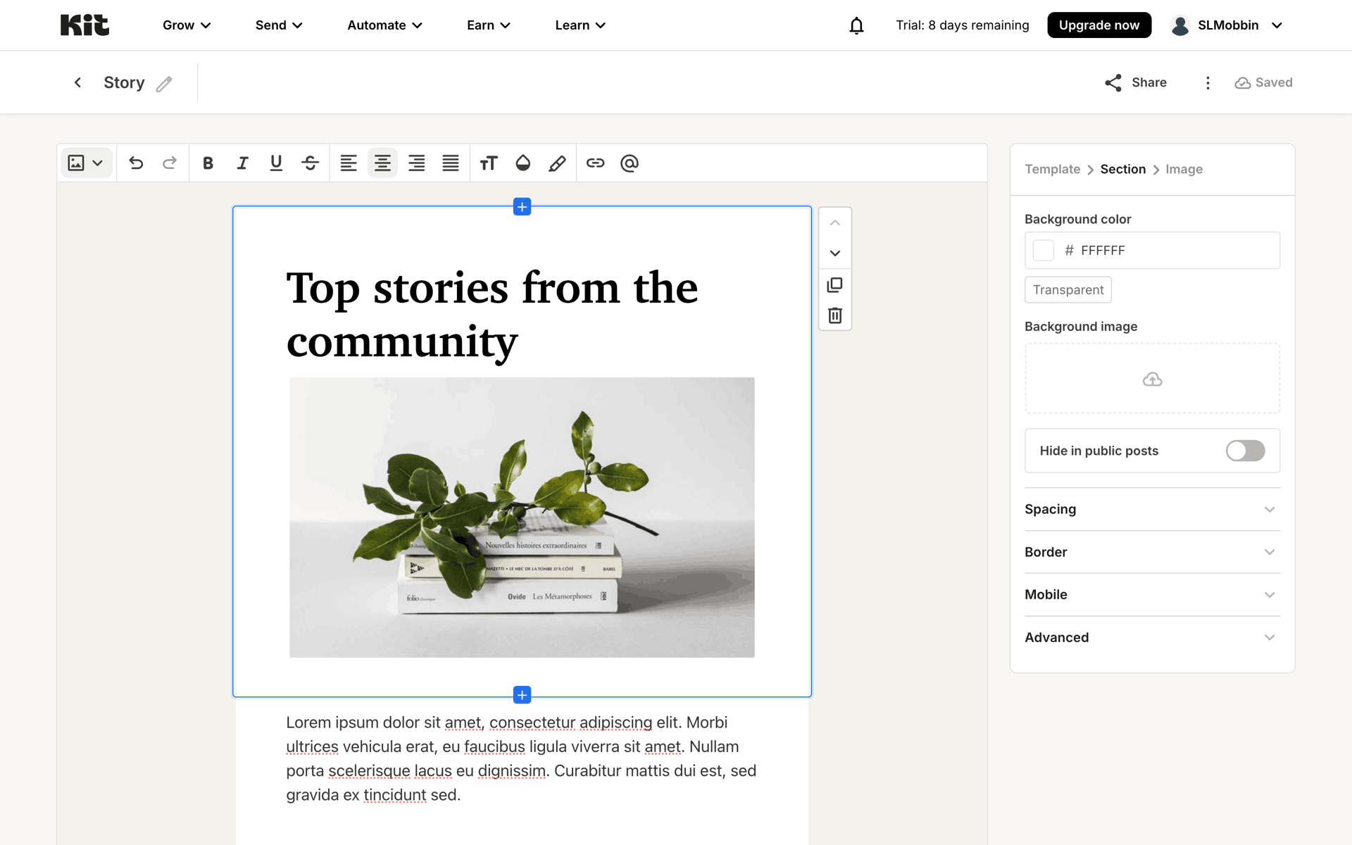 Kit Web Business interface screenshot 18