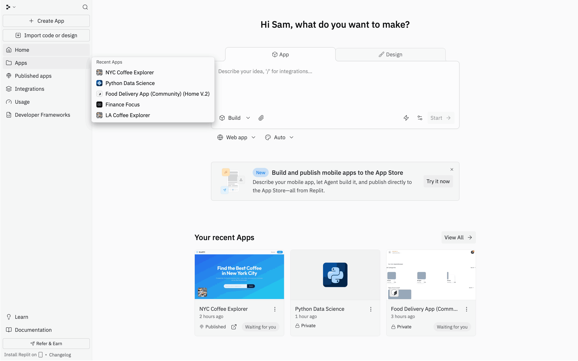 Replit Web Developer Tools interface screenshot 22