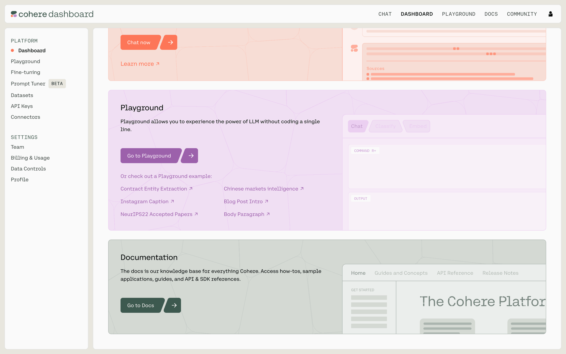 Cohere Web AI interface screenshot 17