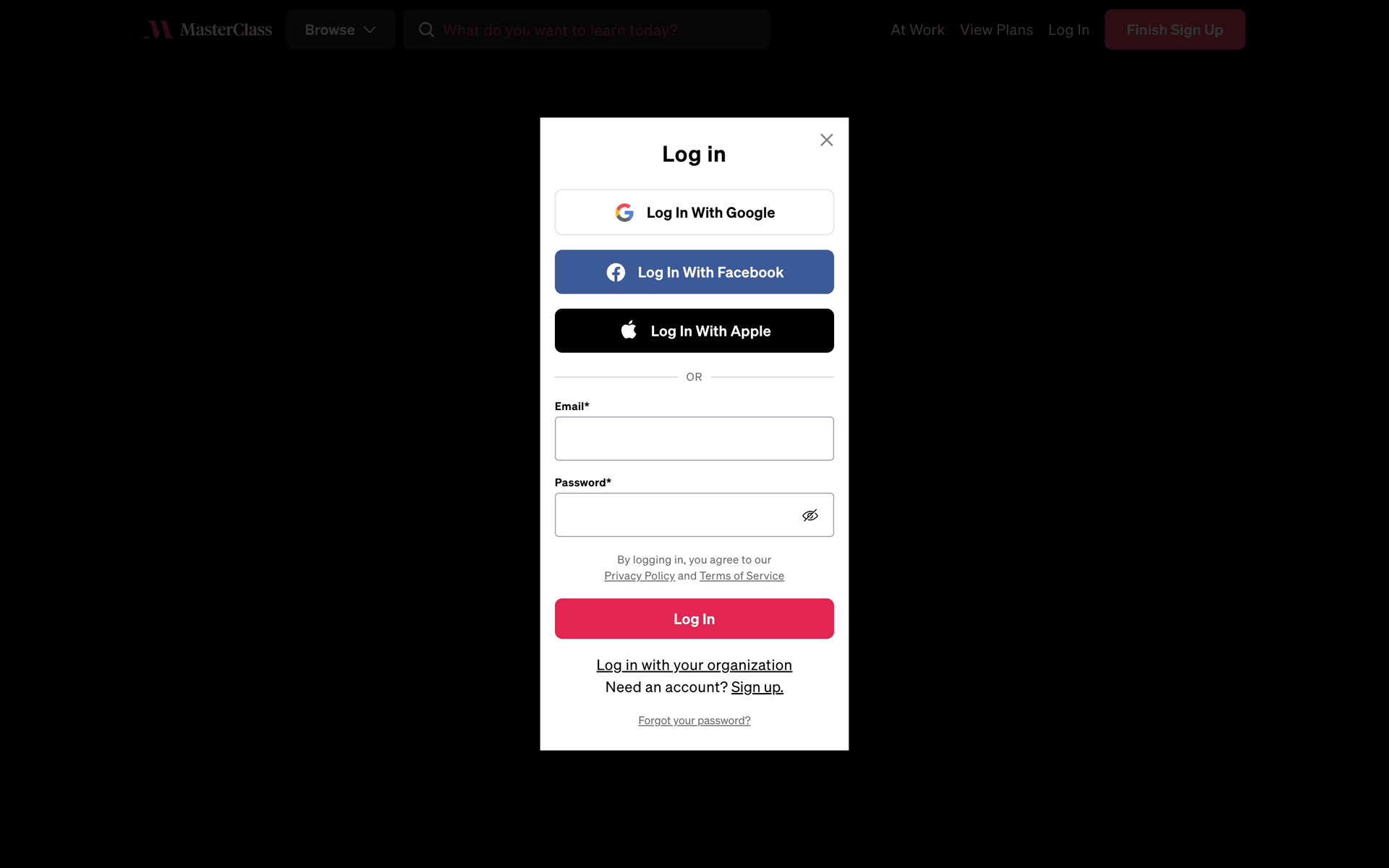 MasterClass Web Business interface screenshot 17