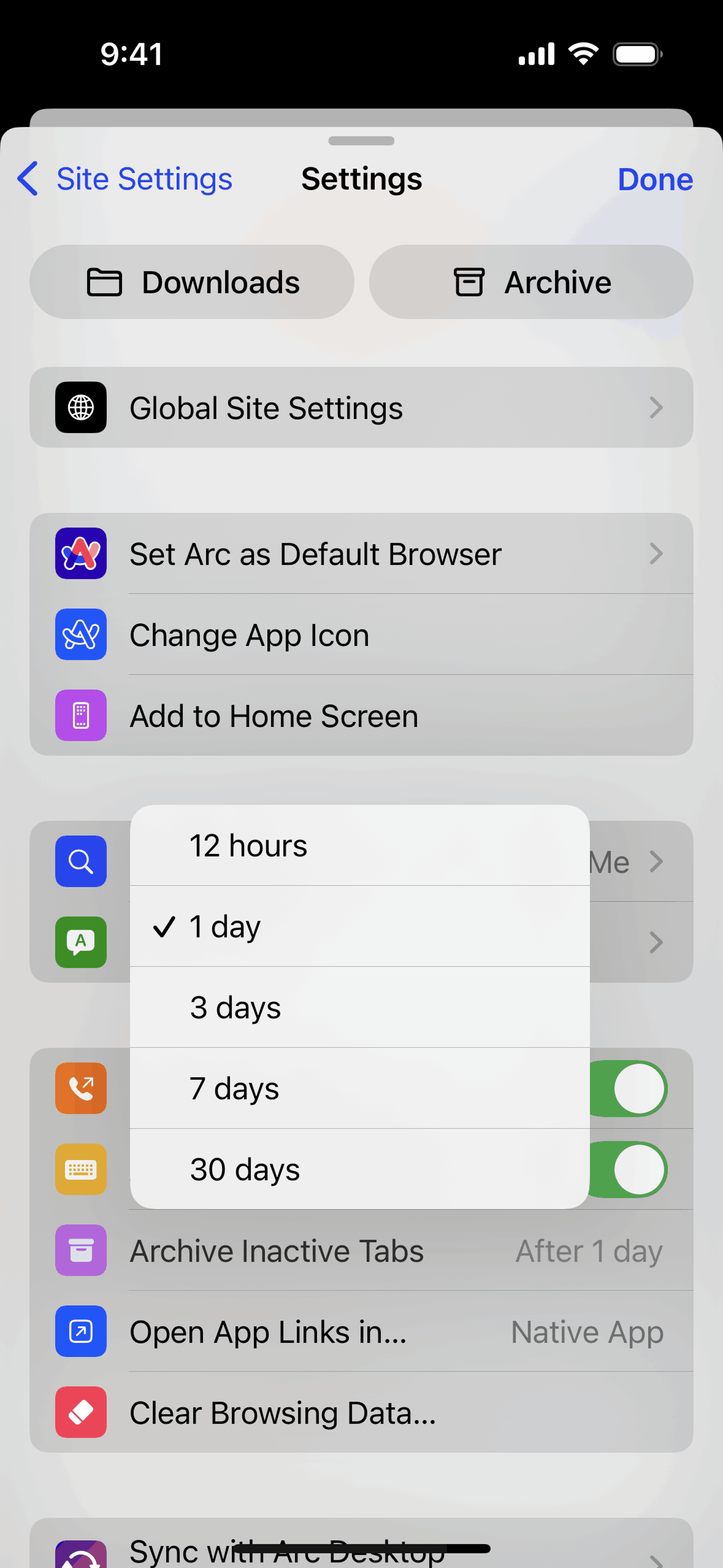 Arc Search iOS AI interface screenshot 8