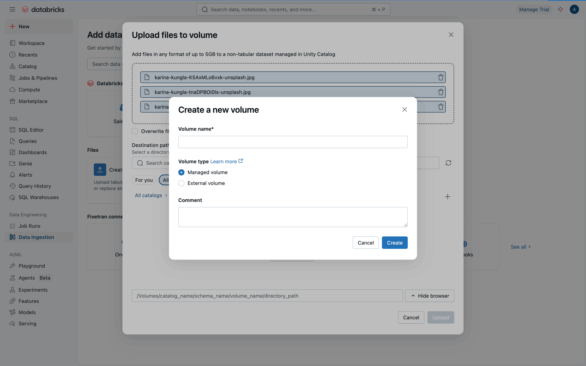 Databricks Web Developer Tools interface screenshot 8