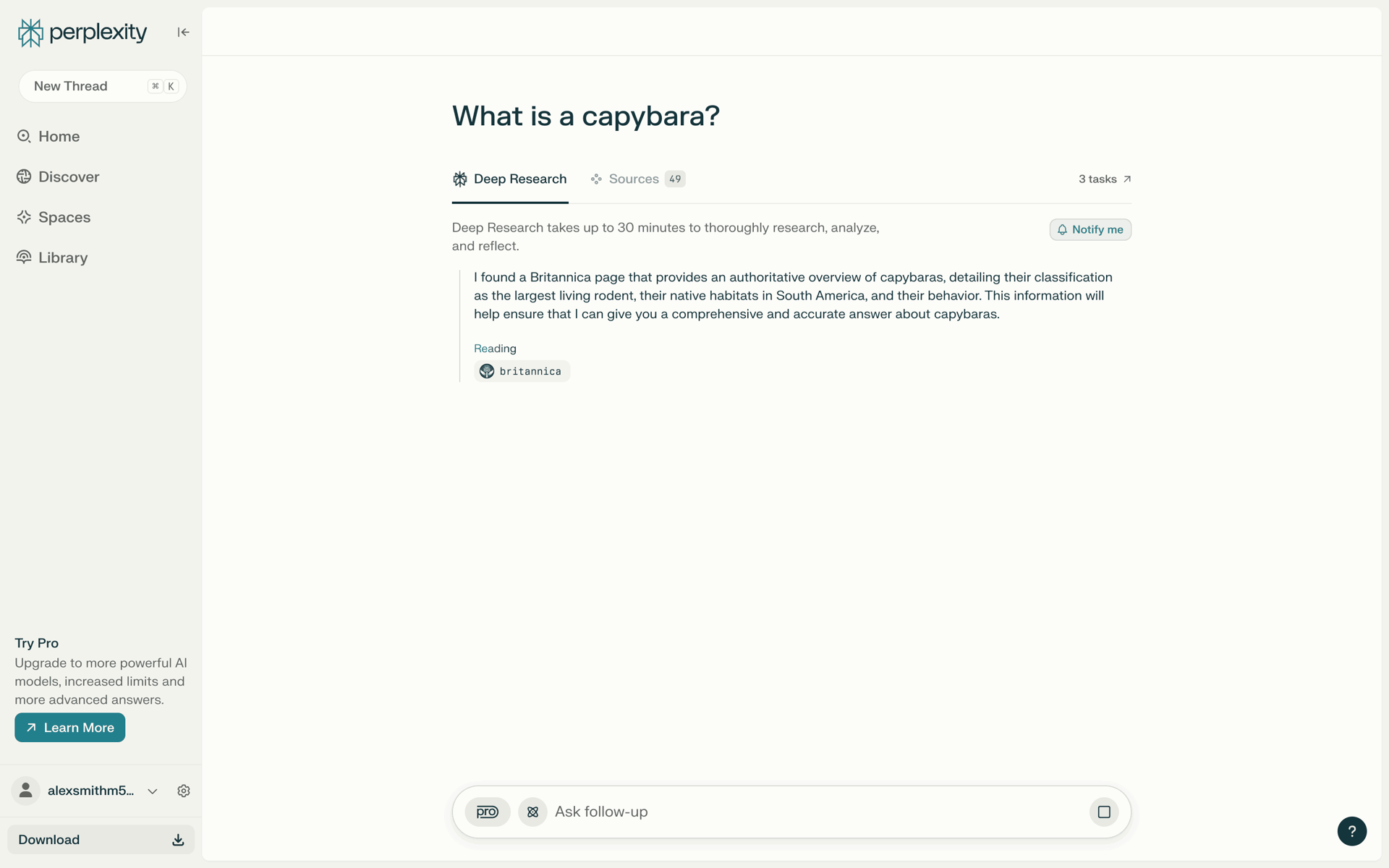 Perplexity Web AI interface screenshot 21