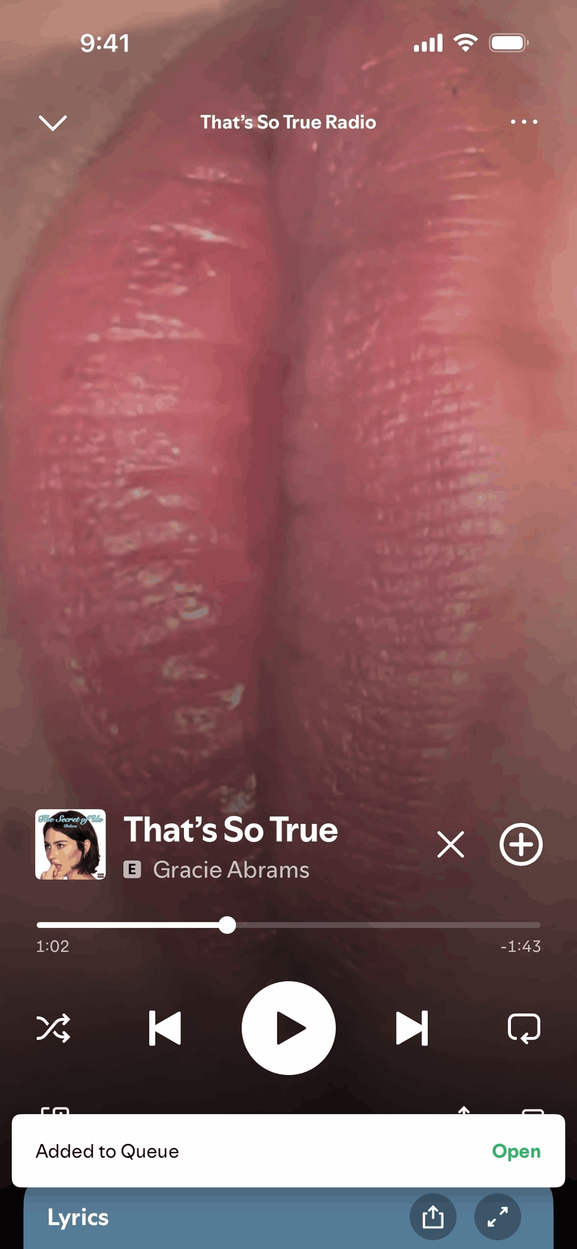 Spotify iOS Music & Audio interface screenshot 23