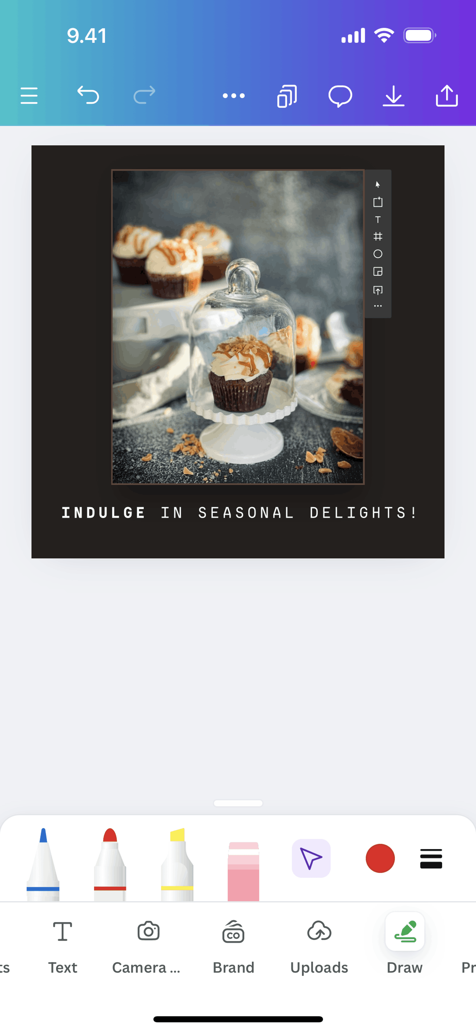 Canva iOS Photo & Video interface screenshot 23