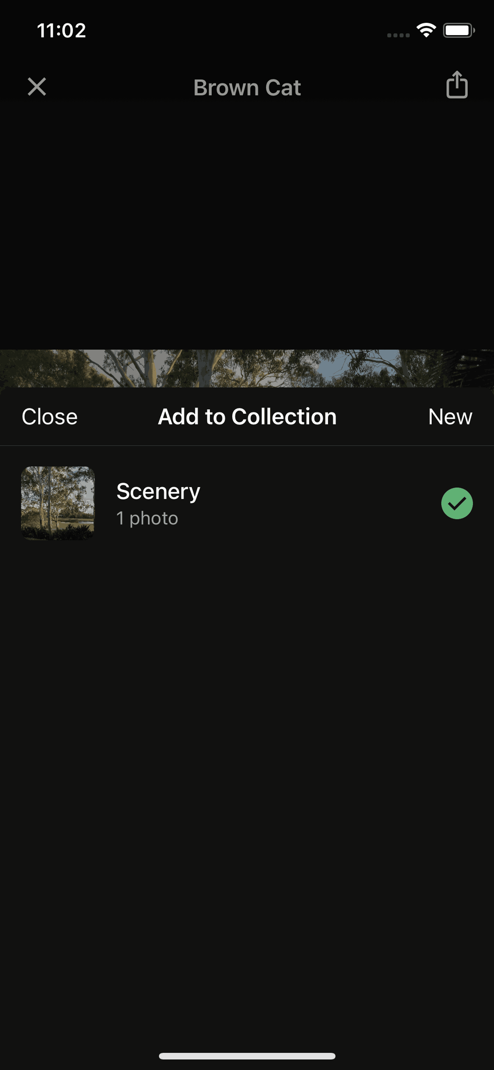 Unsplash iOS Photo & Video interface screenshot 20