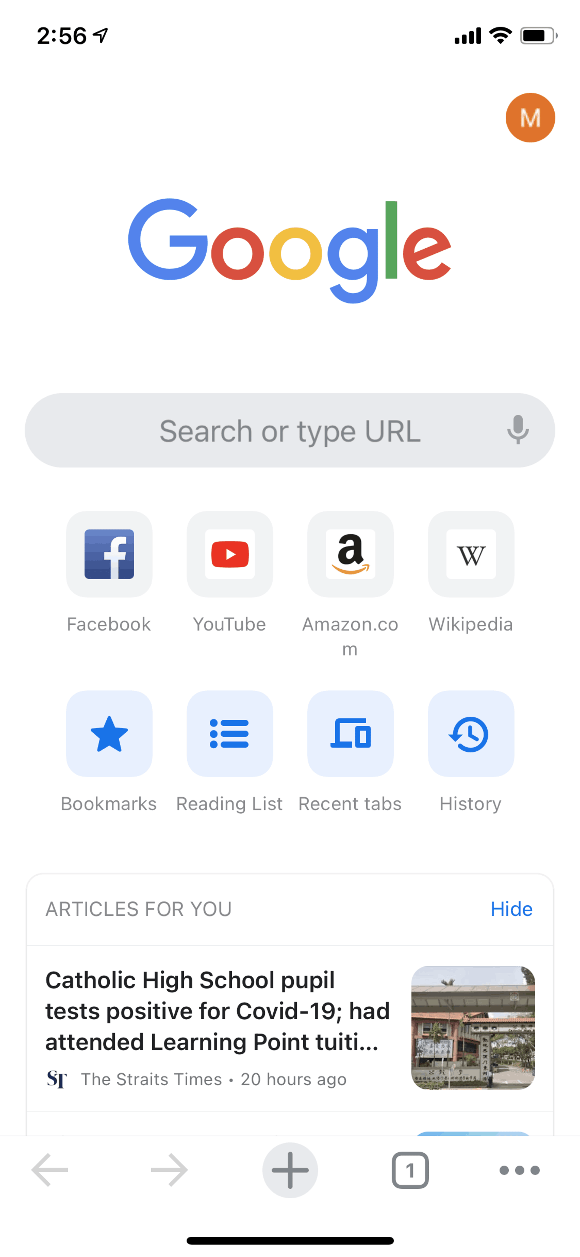 Google Chrome iOS Utilities interface screenshot 8