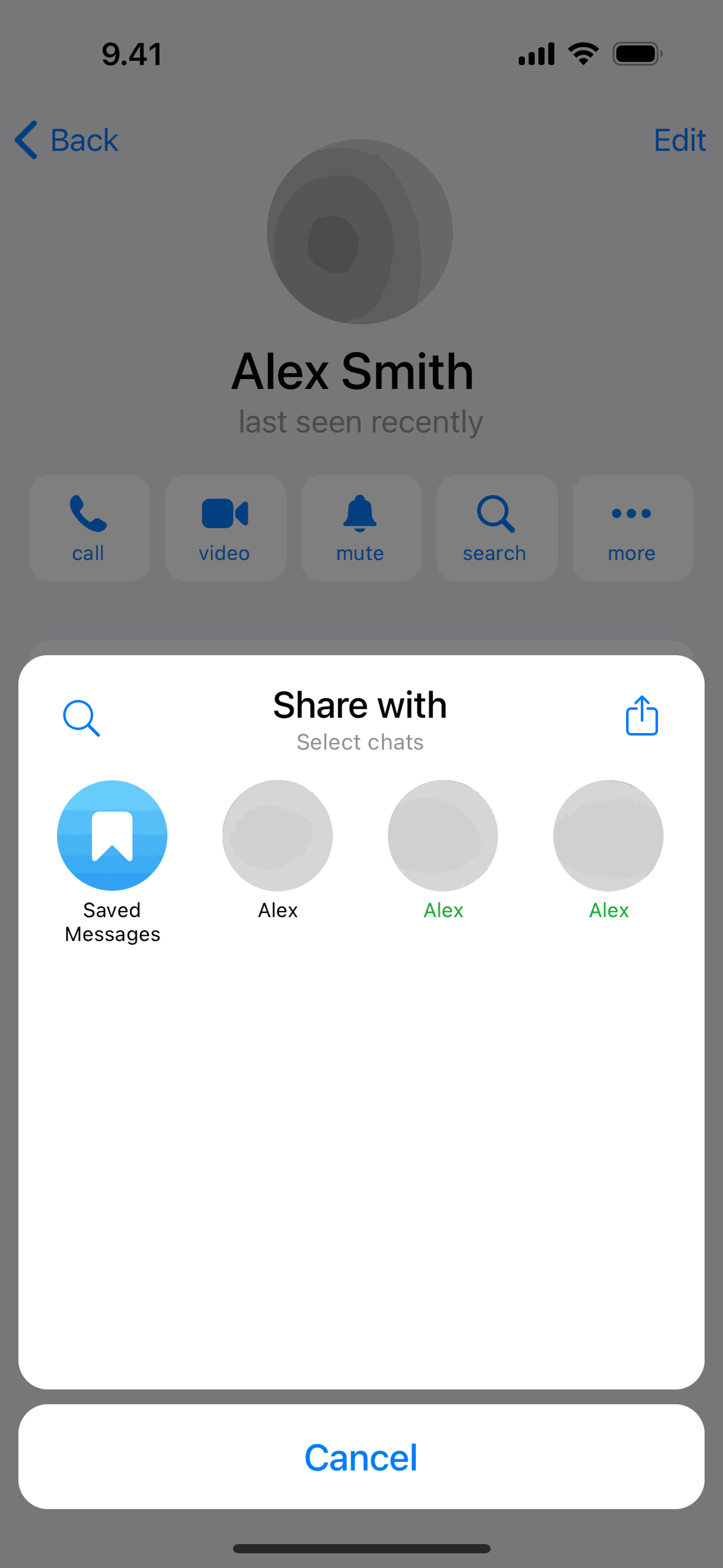 Telegram iOS Social Networking interface screenshot 17