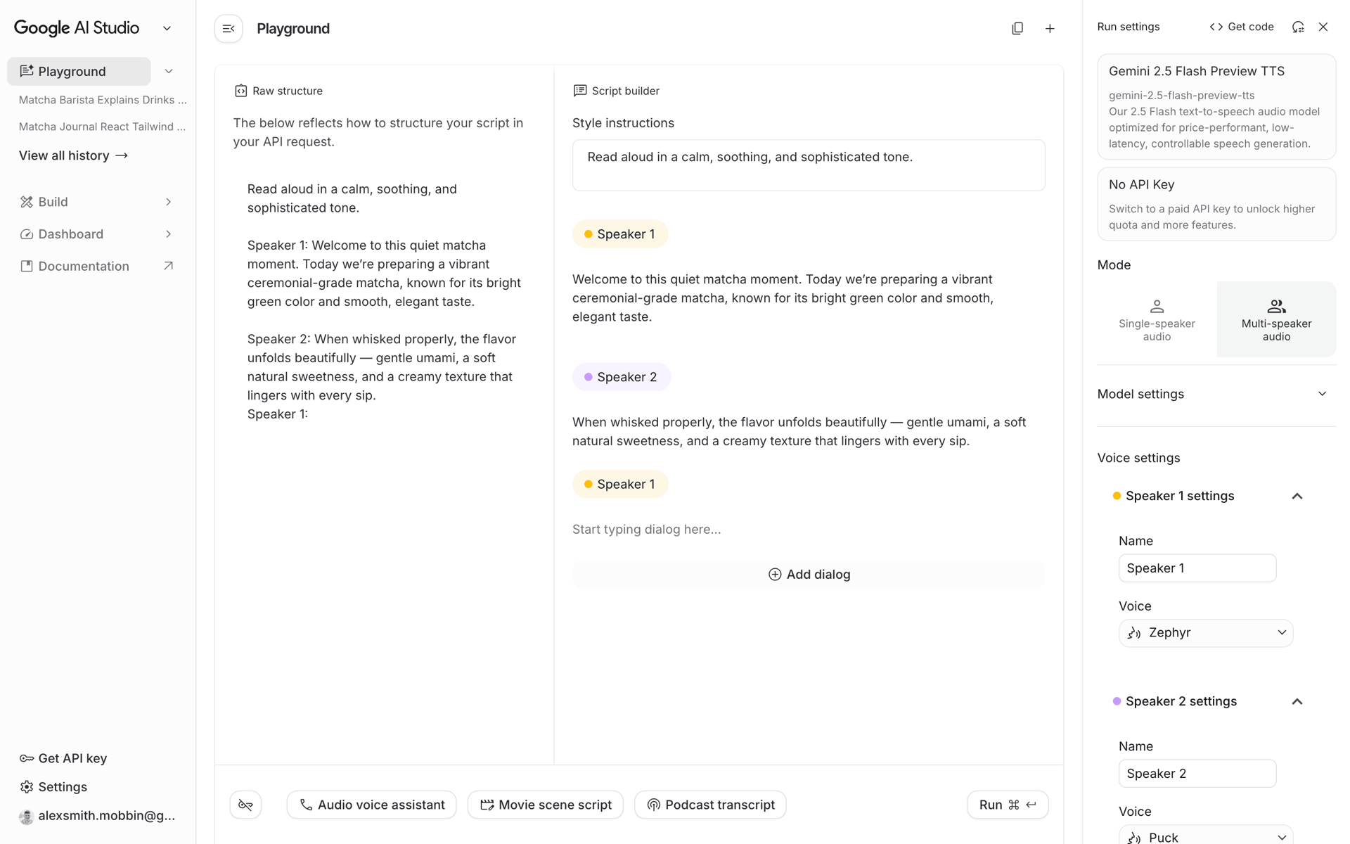 Google AI Studio Web machine learning interface screenshot 14