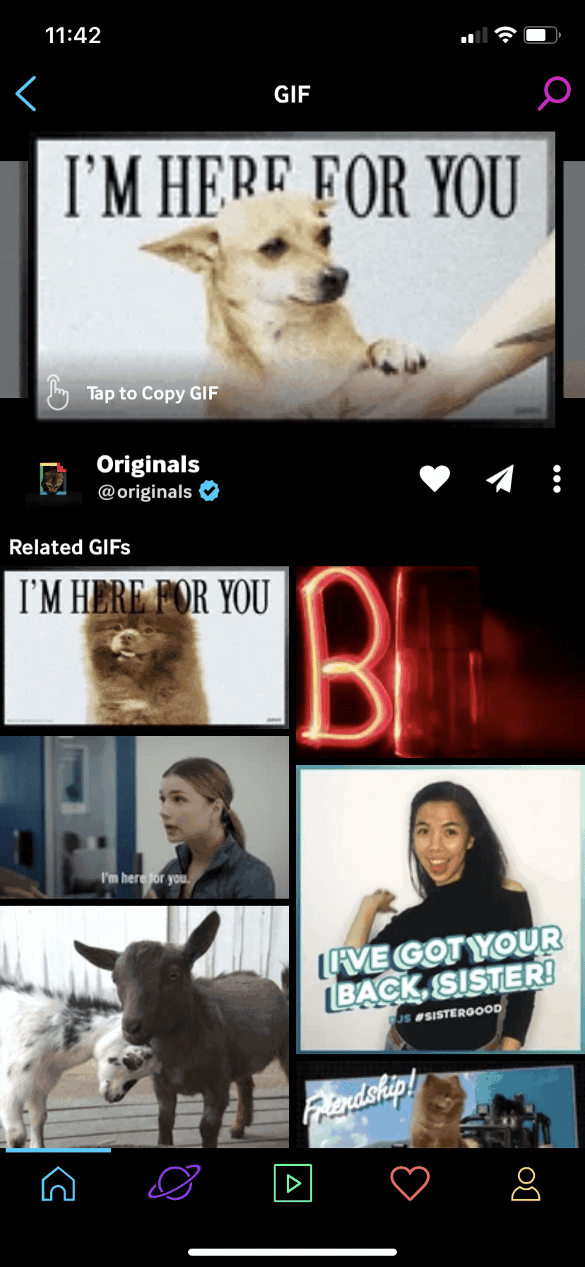 GIPHY iOS Photo & Video interface screenshot 11