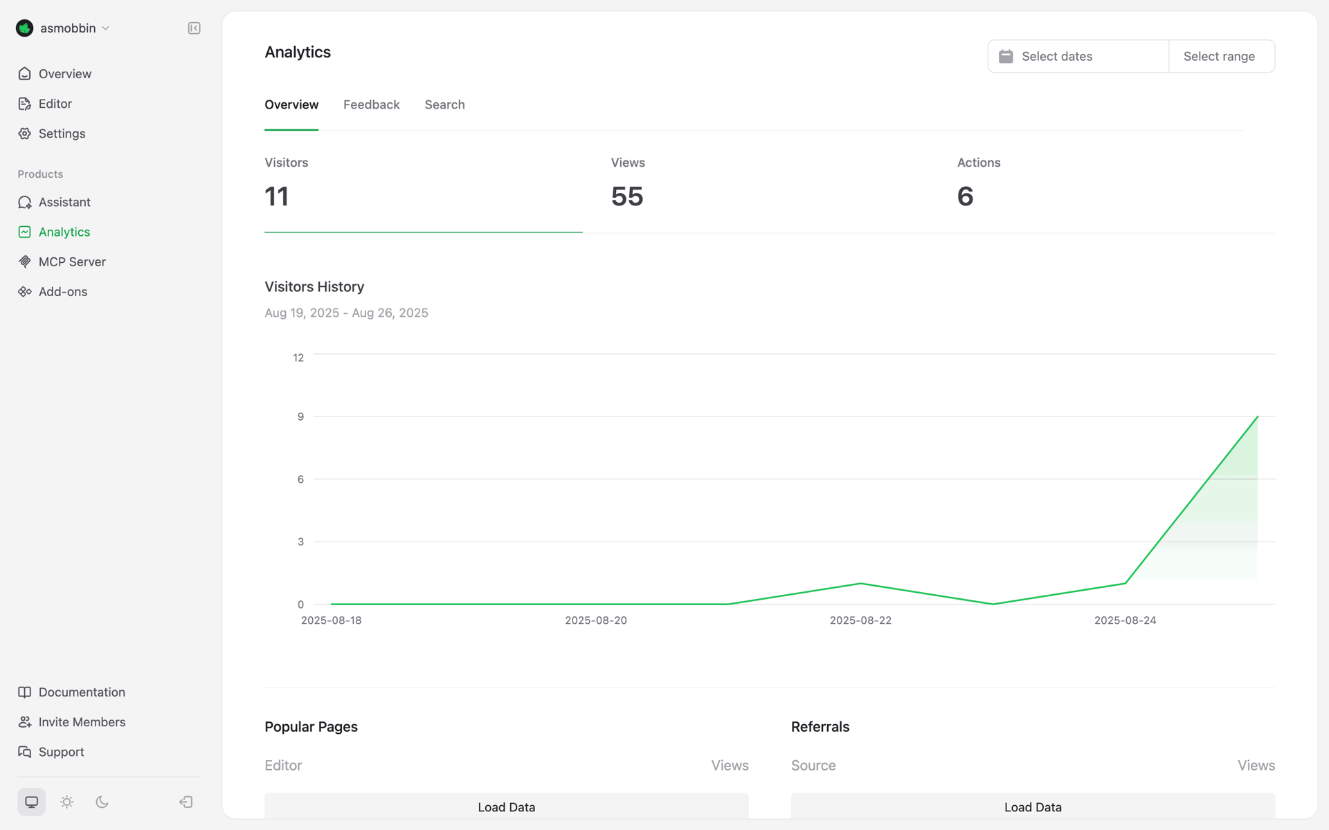 Mintlify Web Developer Tools interface screenshot 4